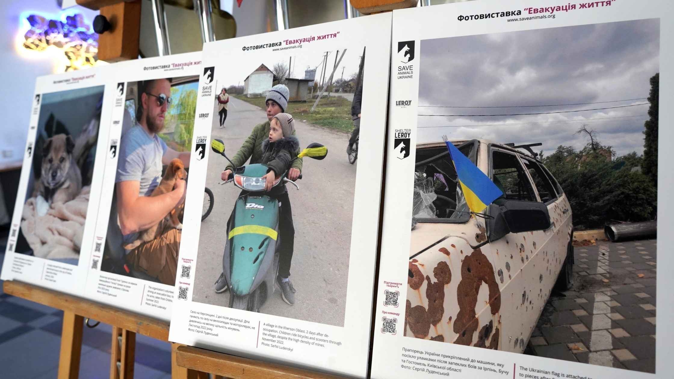 «Евакуація життя»: у Вінниці відкрили зворушливу виставку про порятунок тварин з-під обстрілів