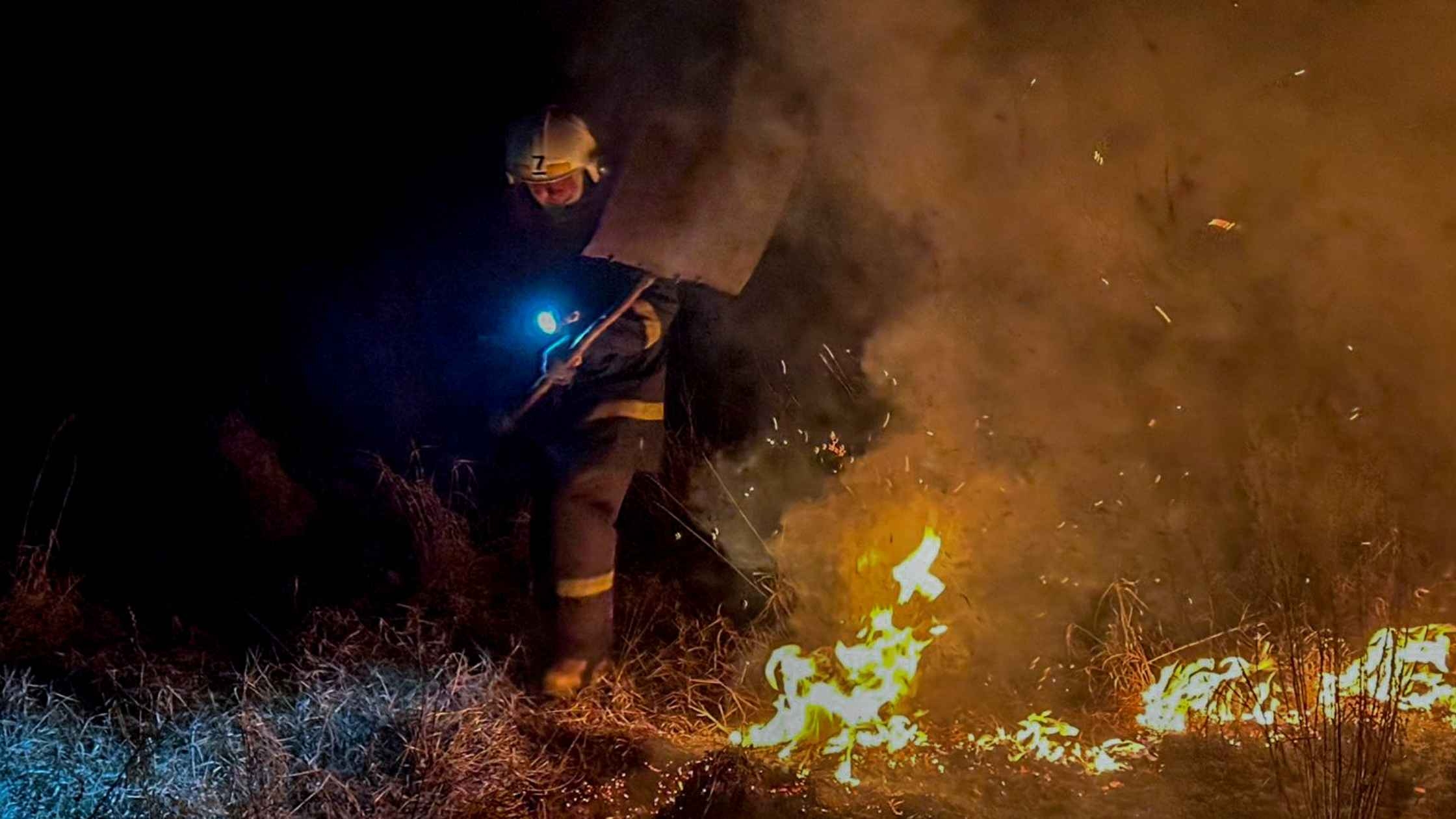 Десять гектарів знищеної та випаленої землі за добу на Вінниччині