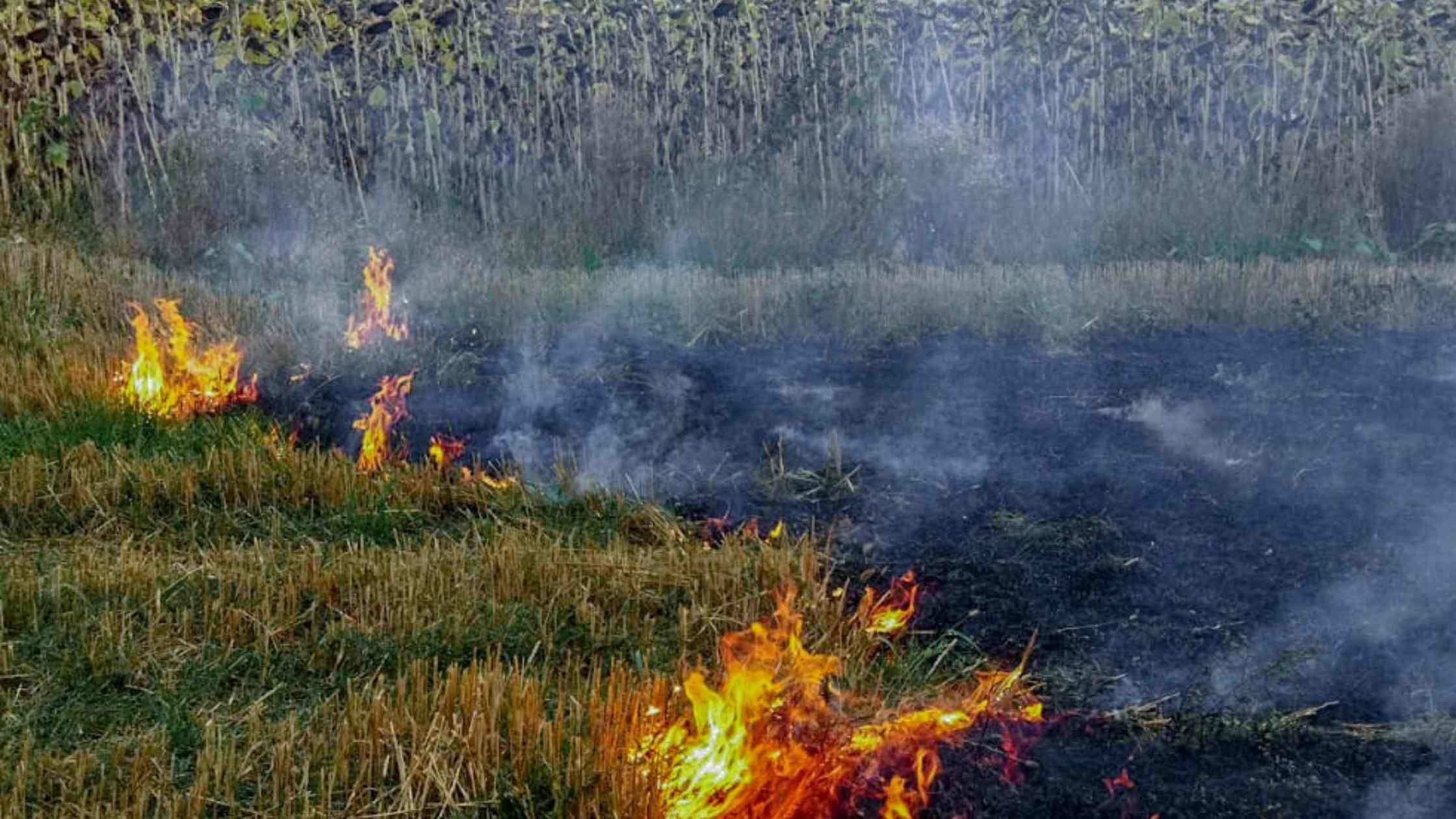 Дитячі пустощі з вогнем стали причиною пожежі в Хмільницькому районі