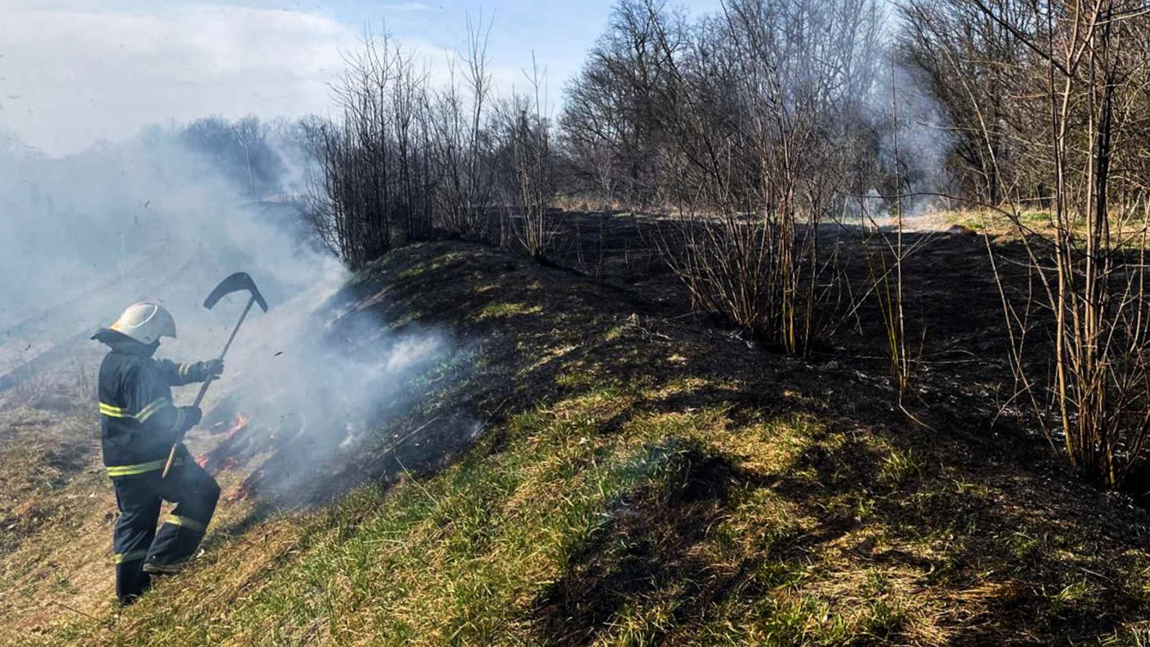 Горіли екосистеми у трьох районах Вінницької області