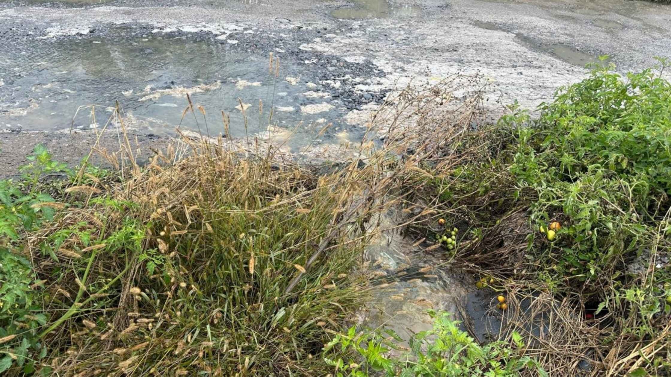 Каналізаційними стоками забруднили 3 тис. квадратних кілометри у Вінницькому районі