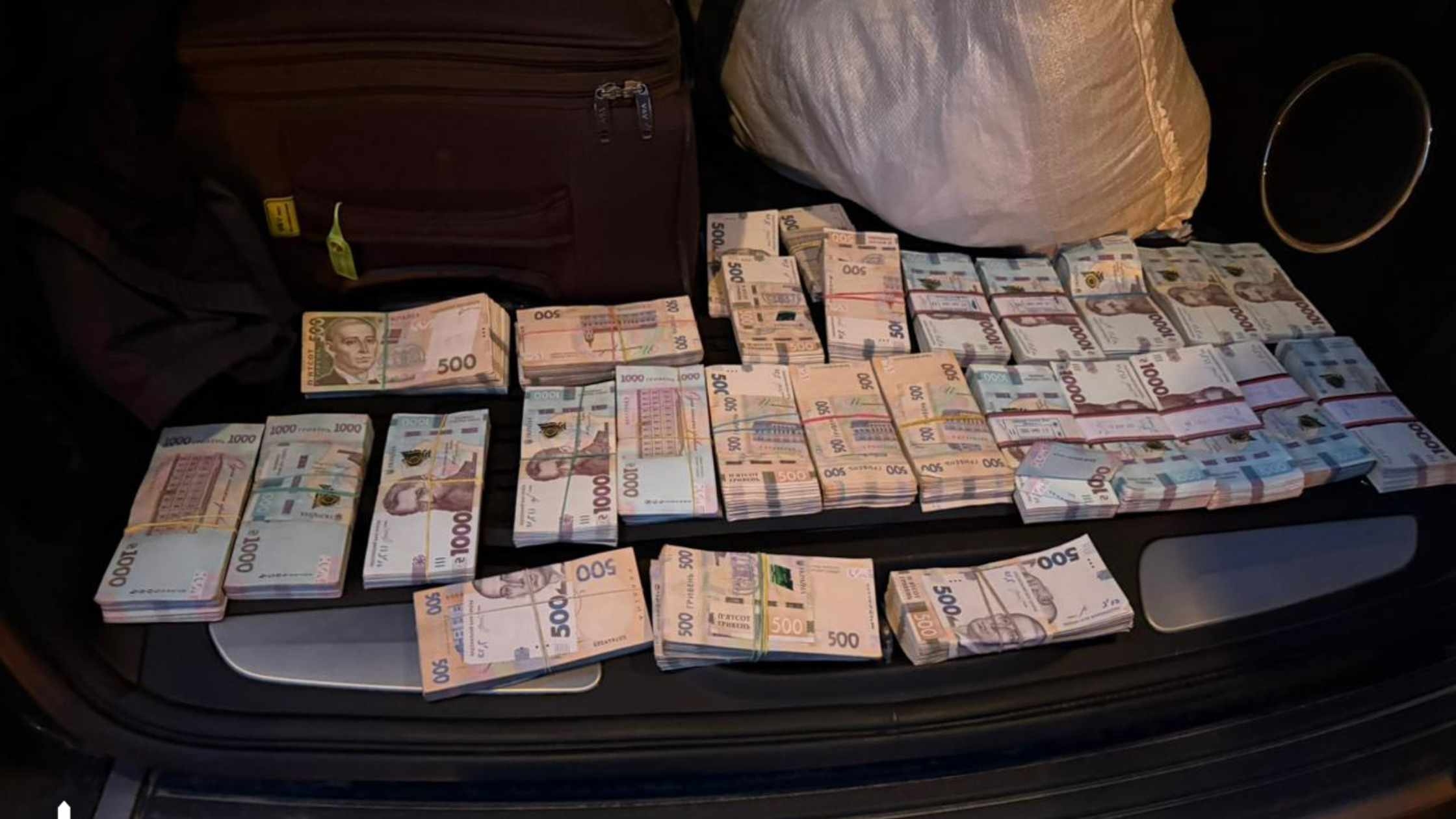 Масштабна схема незаконної вирубки дубів не оминула Вінницьку область