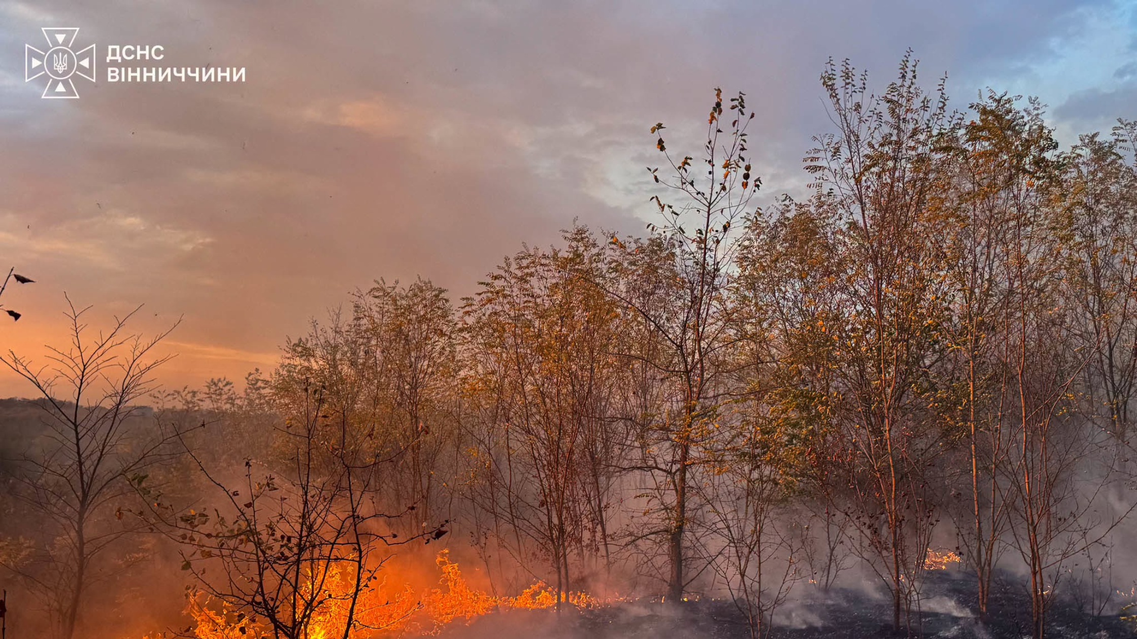 Майже 10 гектарів землі вигоріло на Вінниччині за добу рятувальники ліквідували 23 пожежі