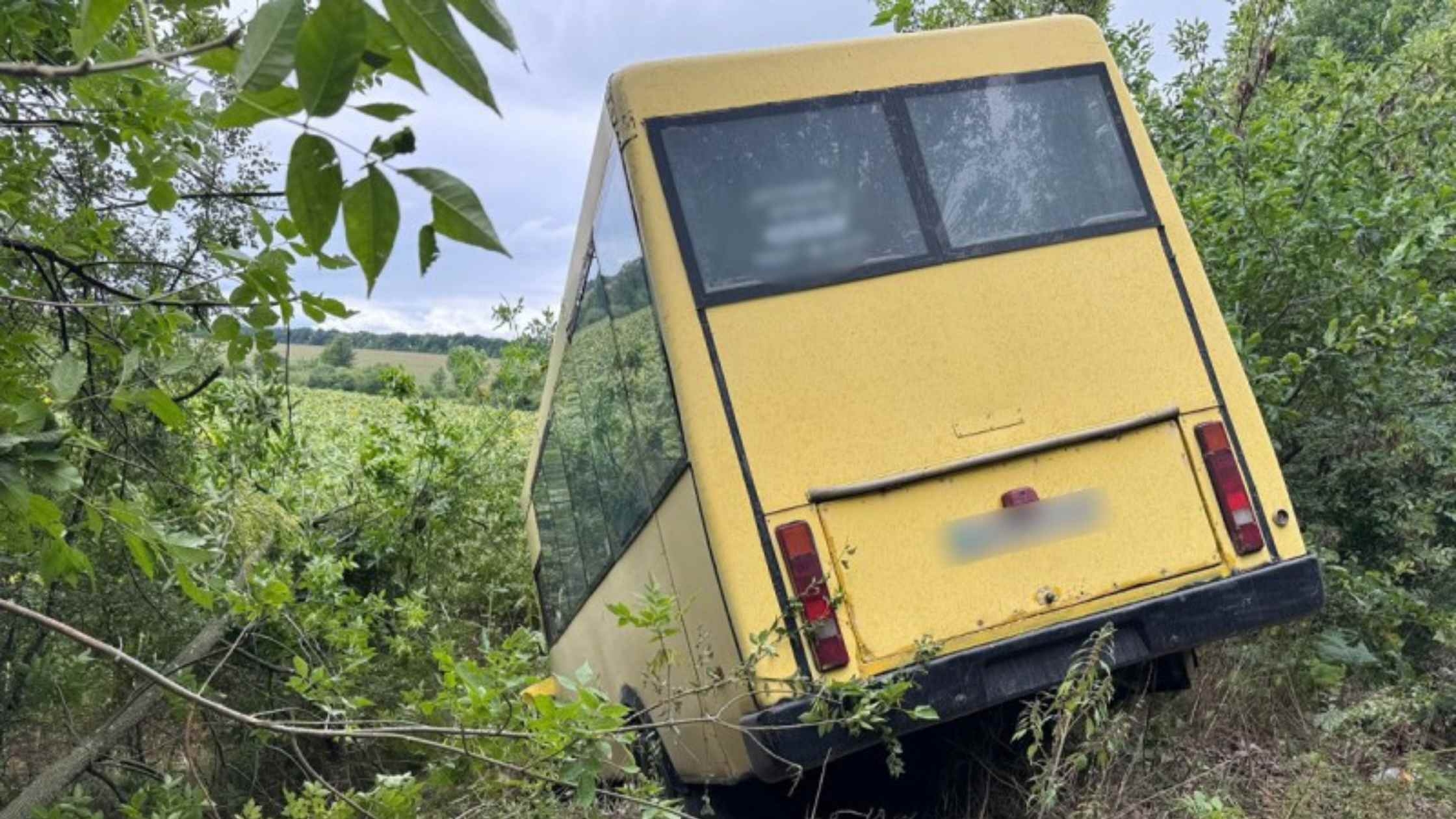 На Вінниччині автобус з’їхав у кювет, п'ять пасажирів травмовані