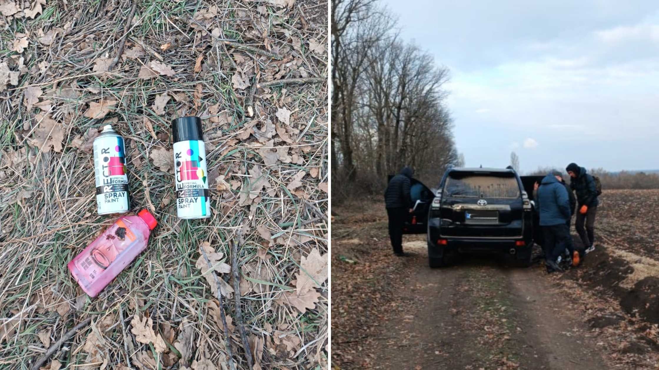 На Вінниччині браконьєри вирубали дерев у полезахисній лісовій смузі на 620 тисяч гривень