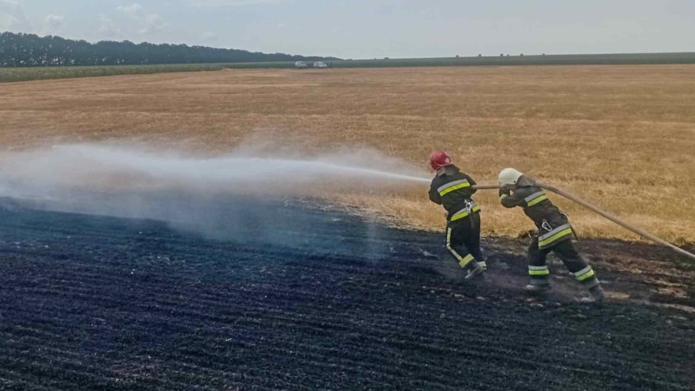 На Вінниччині горіли екосистеми горіли в чотирьох районах