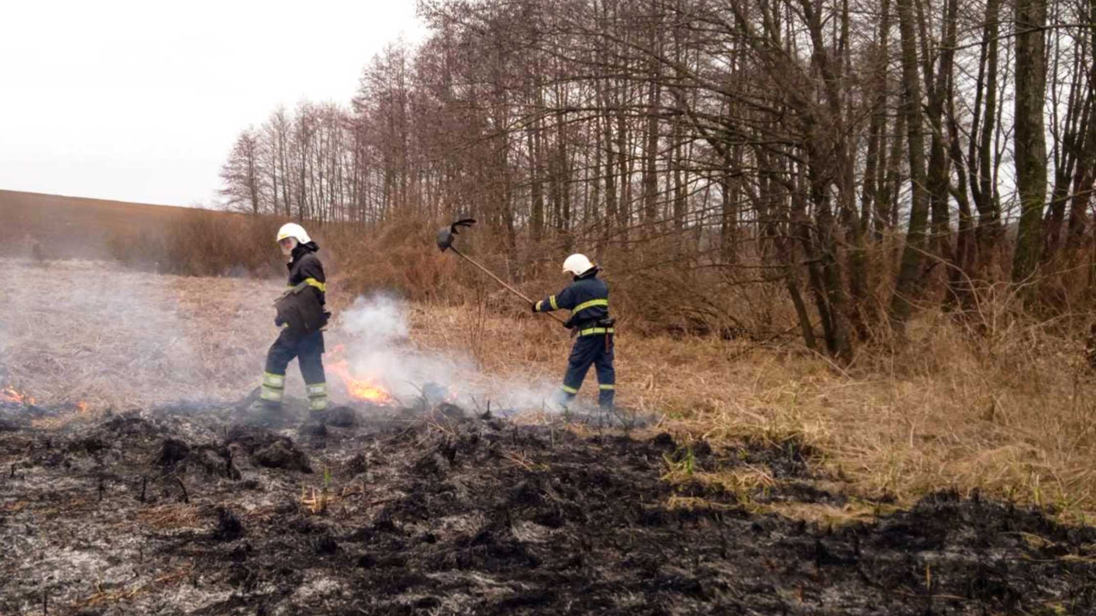 На Вінниччині горіли екосистеми майже в усіх районах області