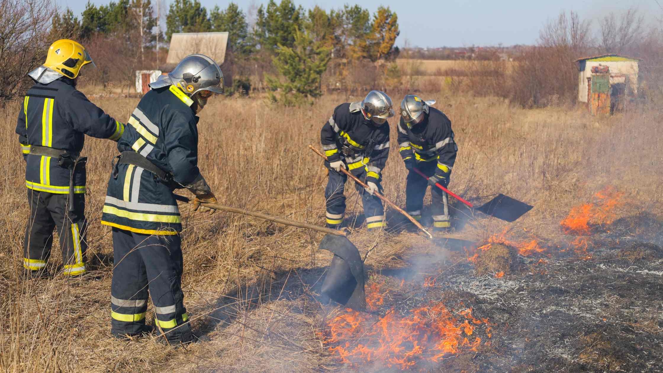 На Вінниччині горіли сосни й господарчі споруди - загорілося на території одразу двох громад