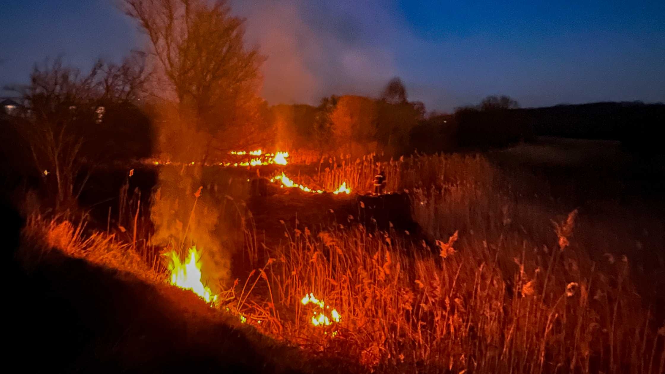 На Вінниччині ліквідували 26 пожеж в природних екосистемах