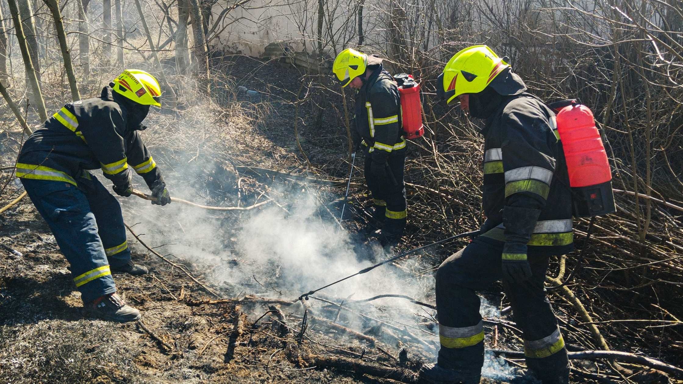 На Вінниччині ліквідували 26 пожеж в природних екосистемах