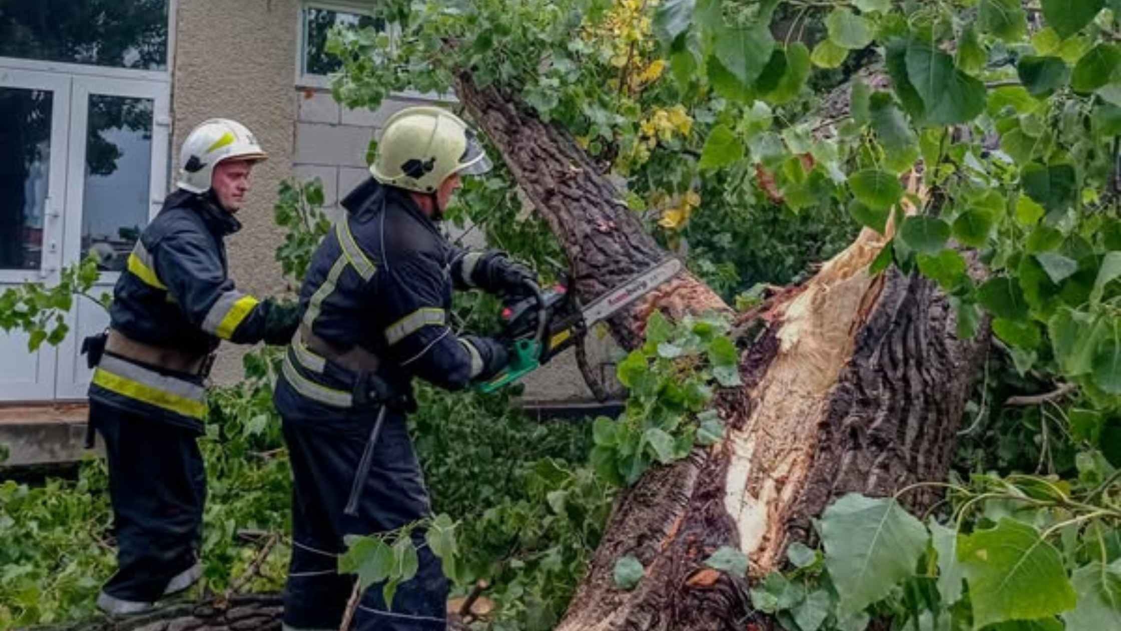 На Вінниччині негода валила дерева на дороги, авто та гаражі