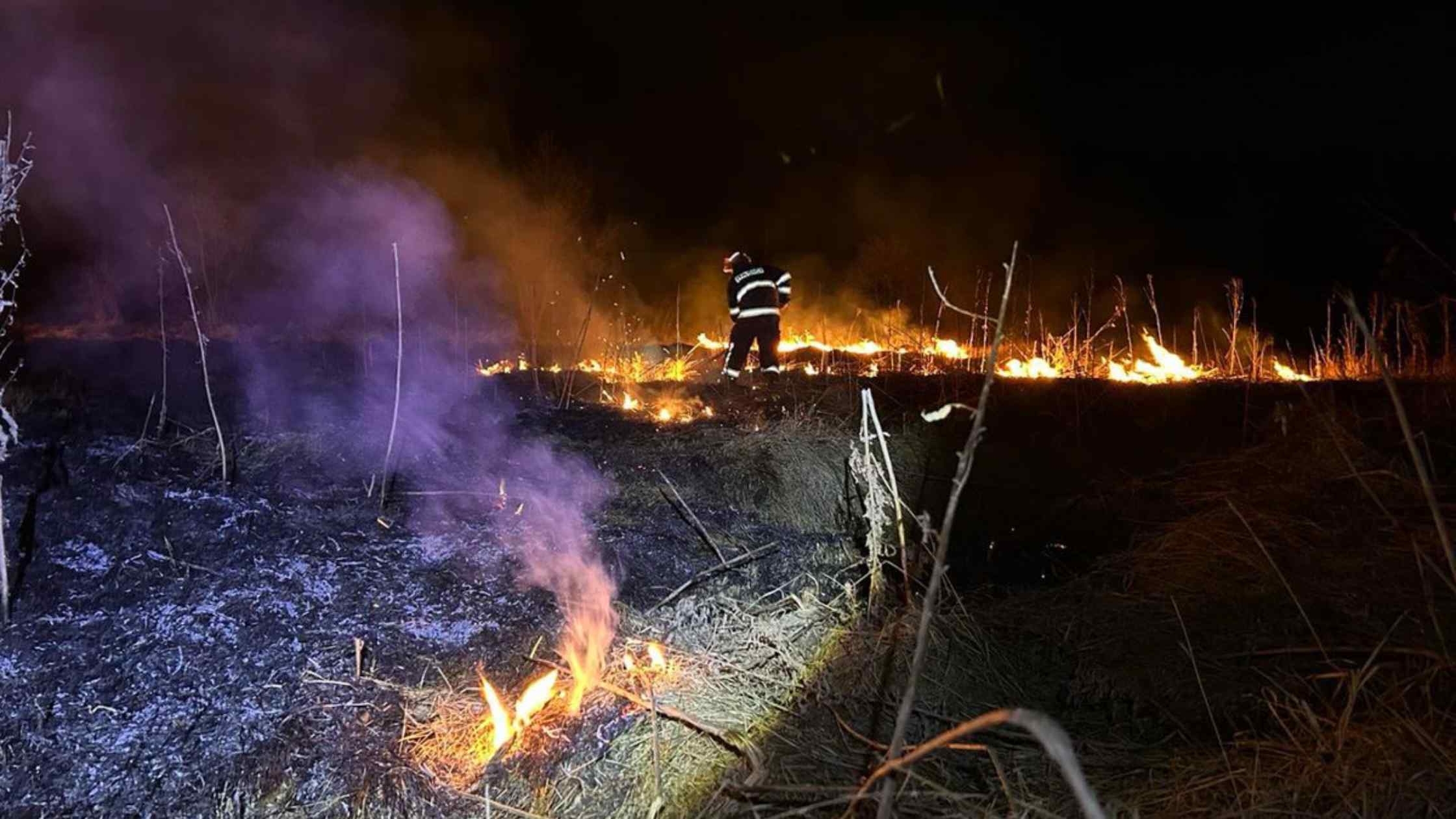 На Вінниччині протягом доби горіли екосистеми в усіх районах області - вигоріло 18 гектарів