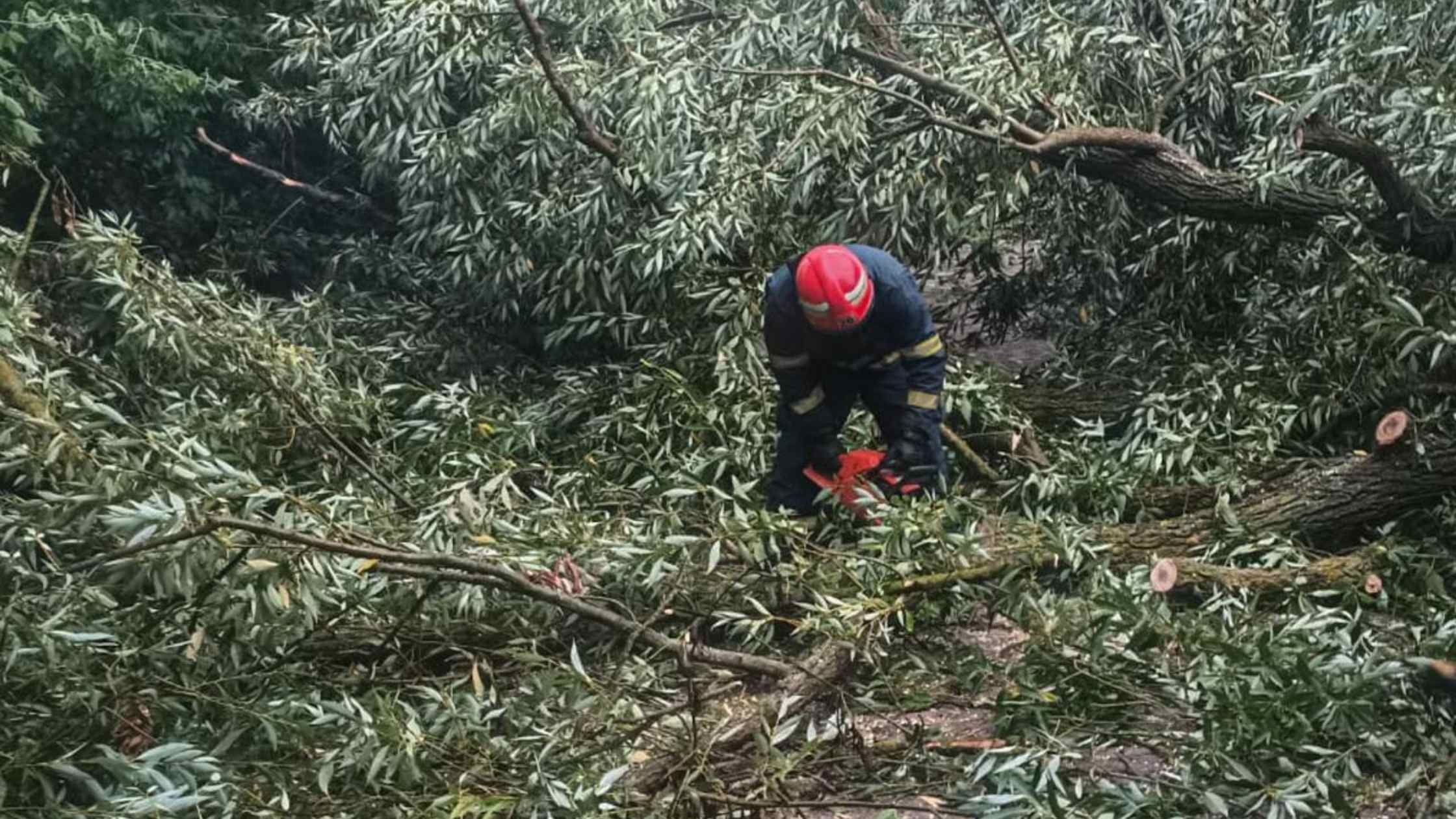 На Вінниччині розчищали дороги від повалених дерев у п'яти громадах