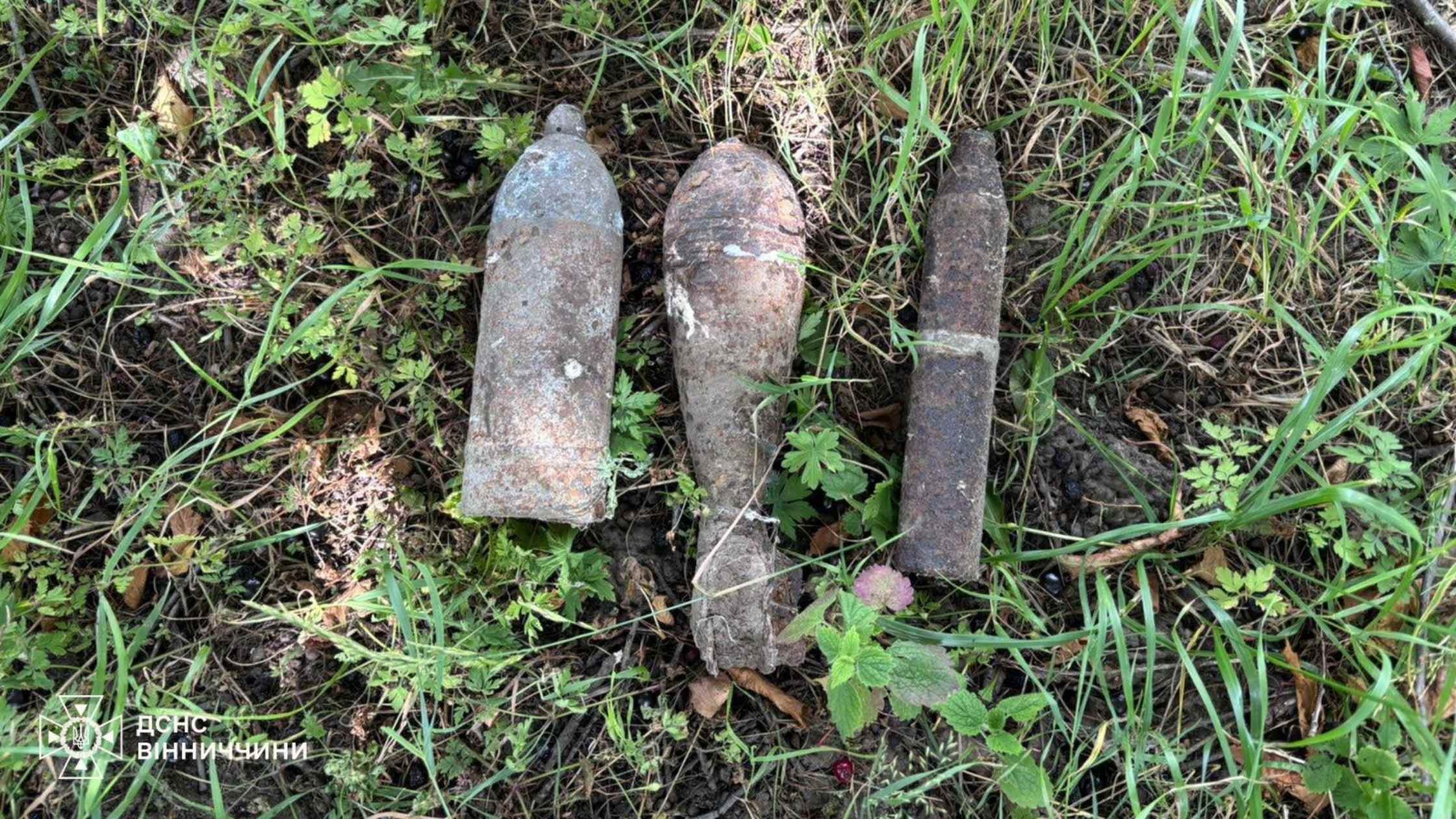 На Вінниччині сапери знищили п’ять боєприпасів часів Другої світової