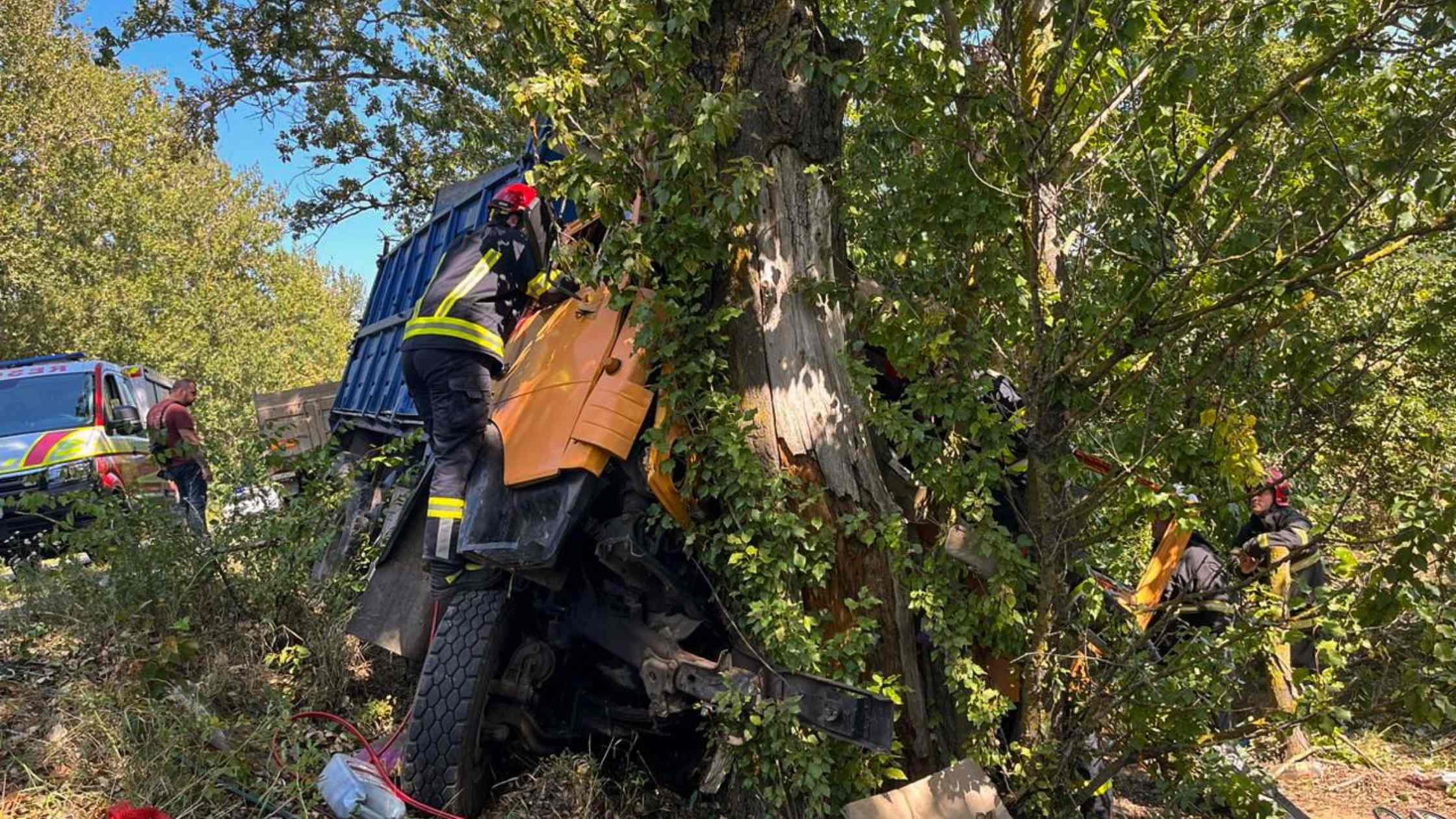 На Вінниччині водій вантажівки з’їхав у кювет та протаранив дерево