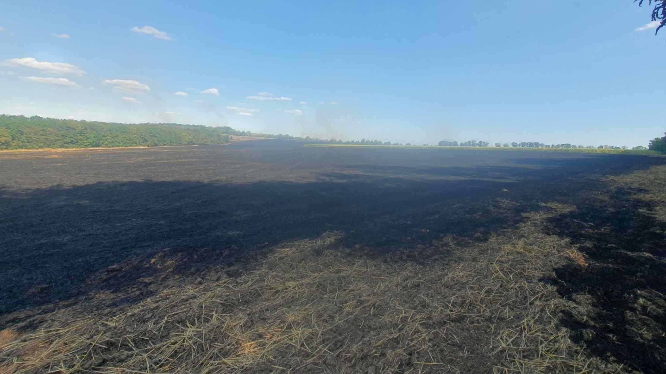 На Вінниччині вигоріли десятки гектарів сільськогосподарських угідь