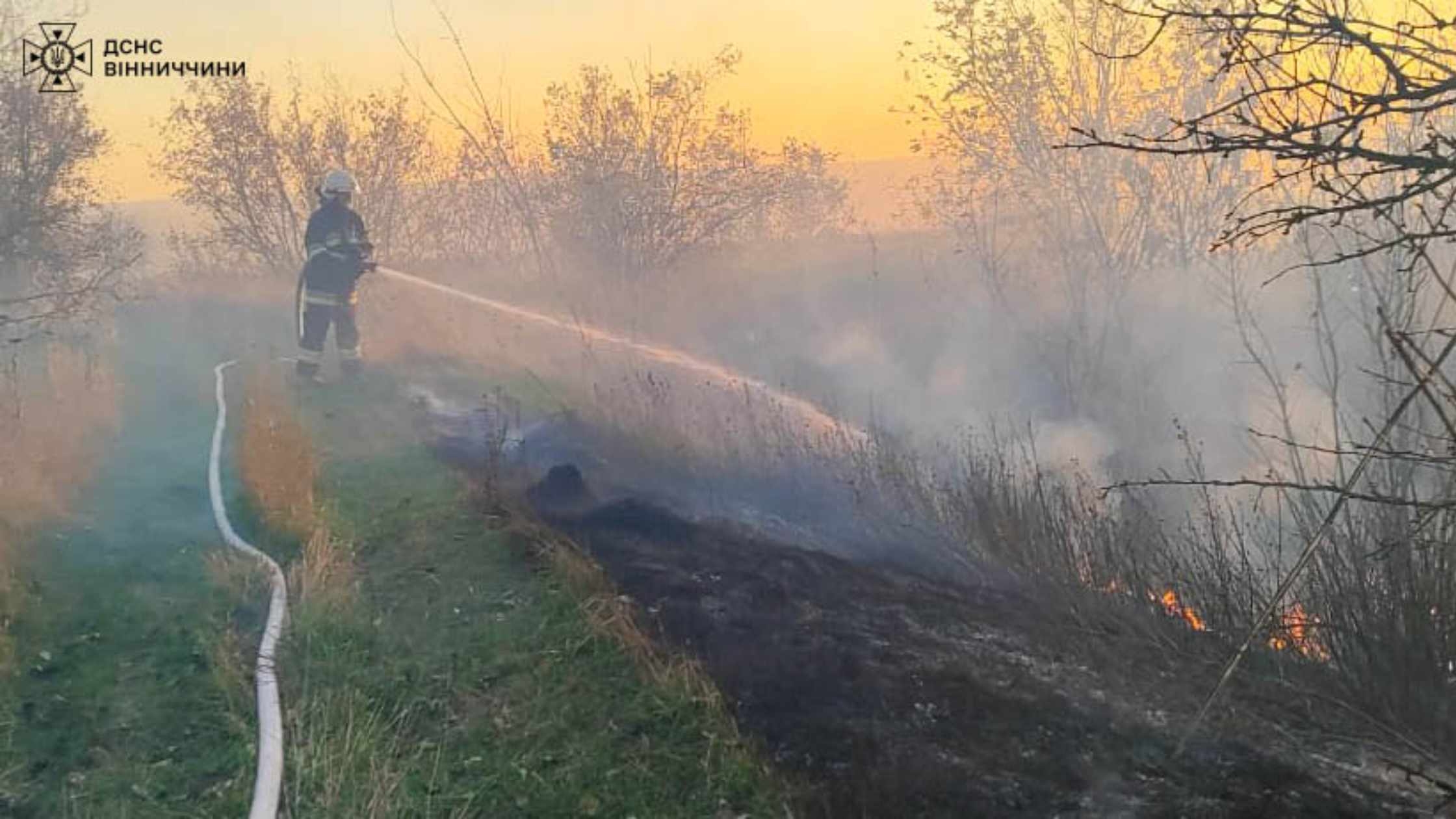 На Вінниччині згоріли три автівки та квартира