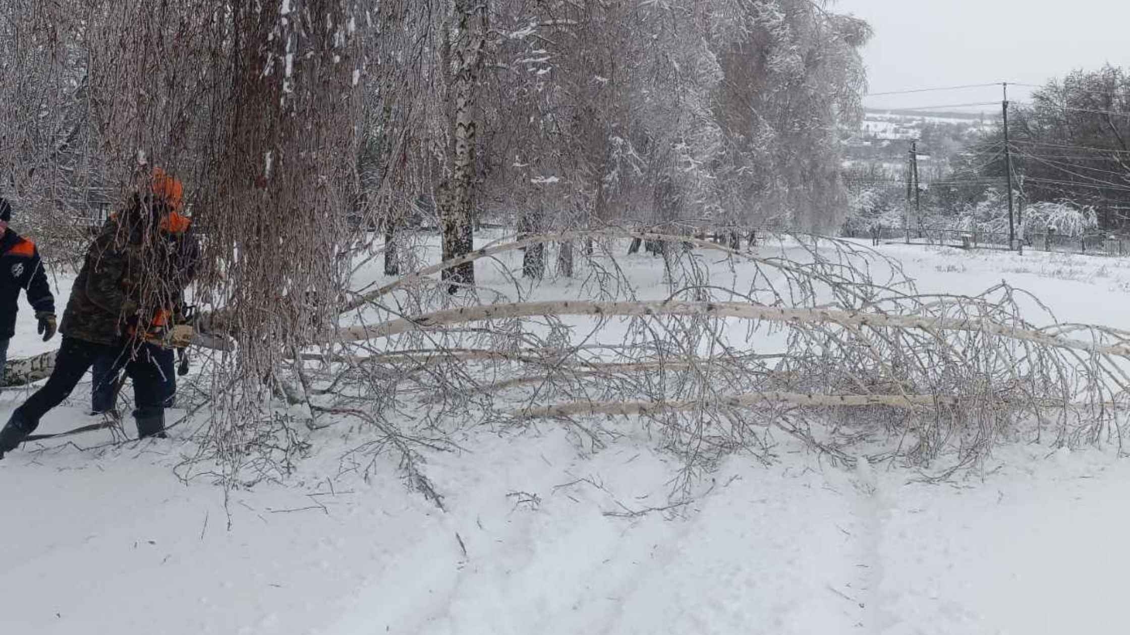 Негода знеструмила на Вінниччині 24 населені пункти у восьми громадах