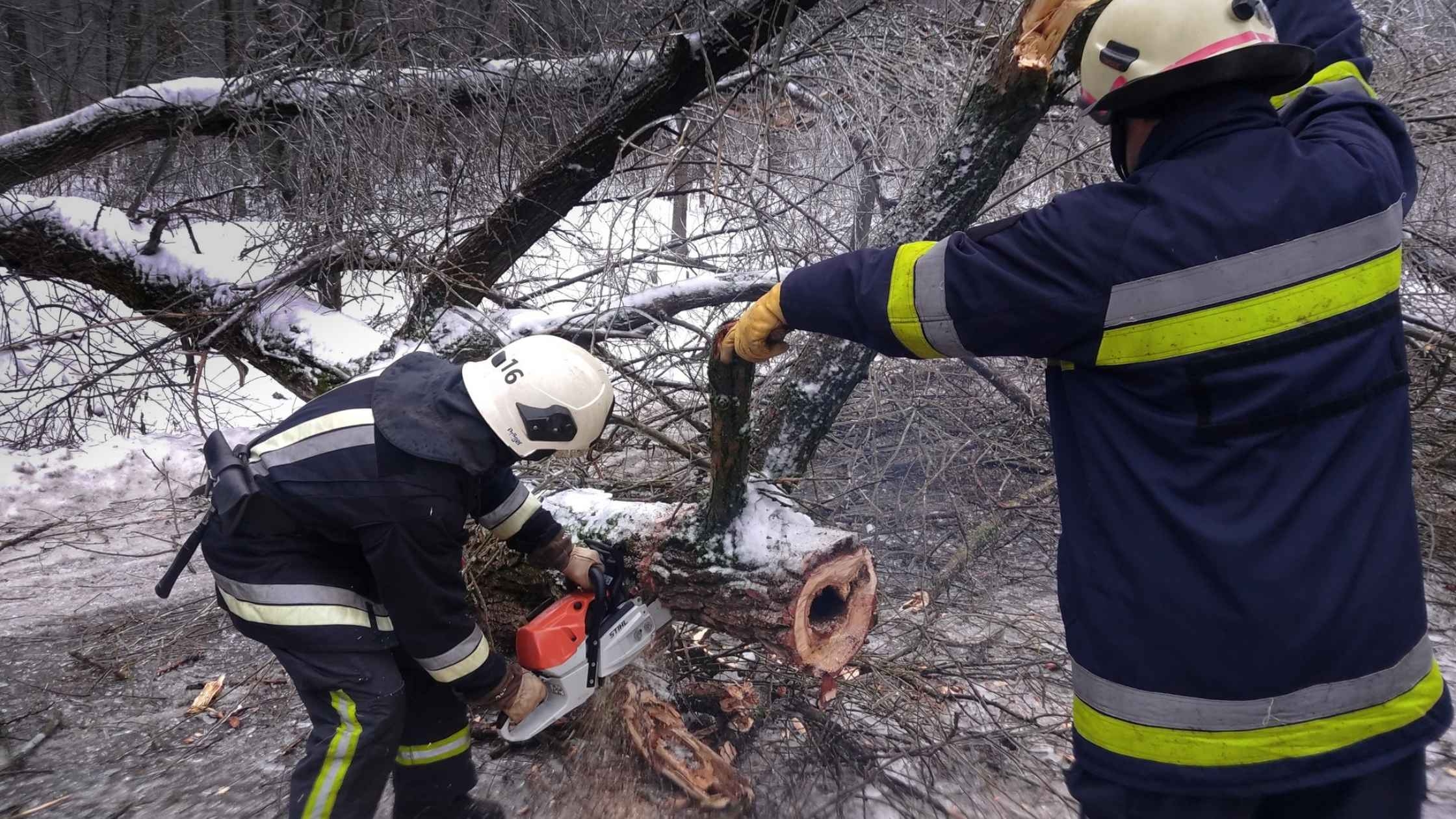 Ожеледь валить дерева на автошляхи Вінниччини - на виклики виїжджали рятувальники