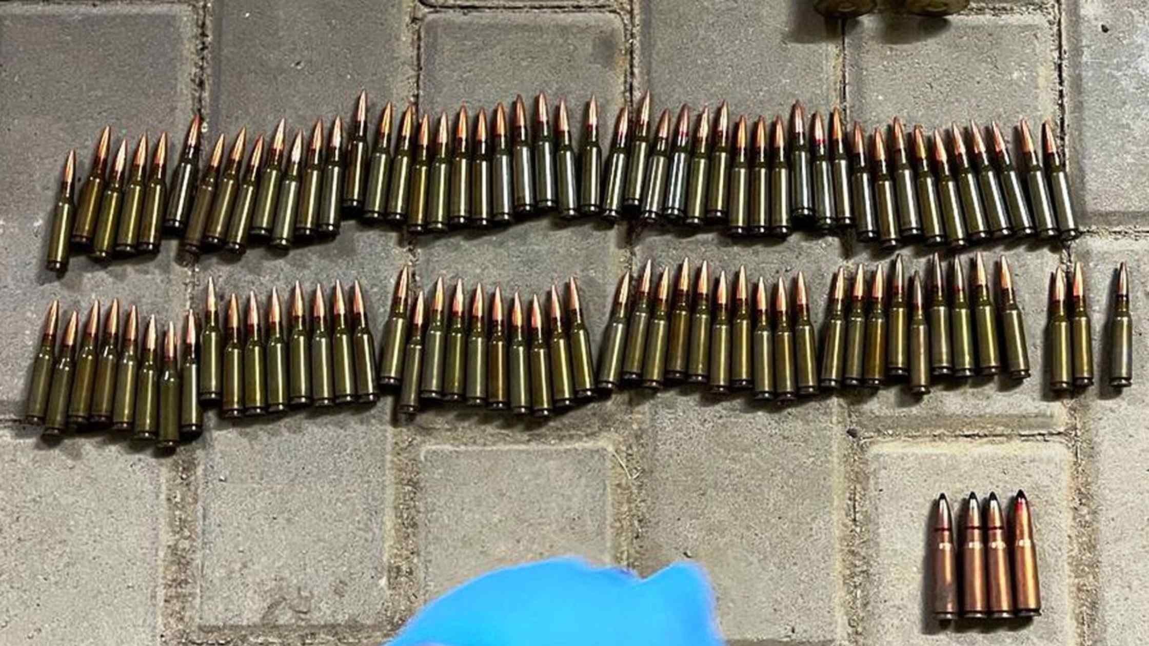 Сім років за гратами загрожує вінничанину, який зберігав “збройний арсенал”