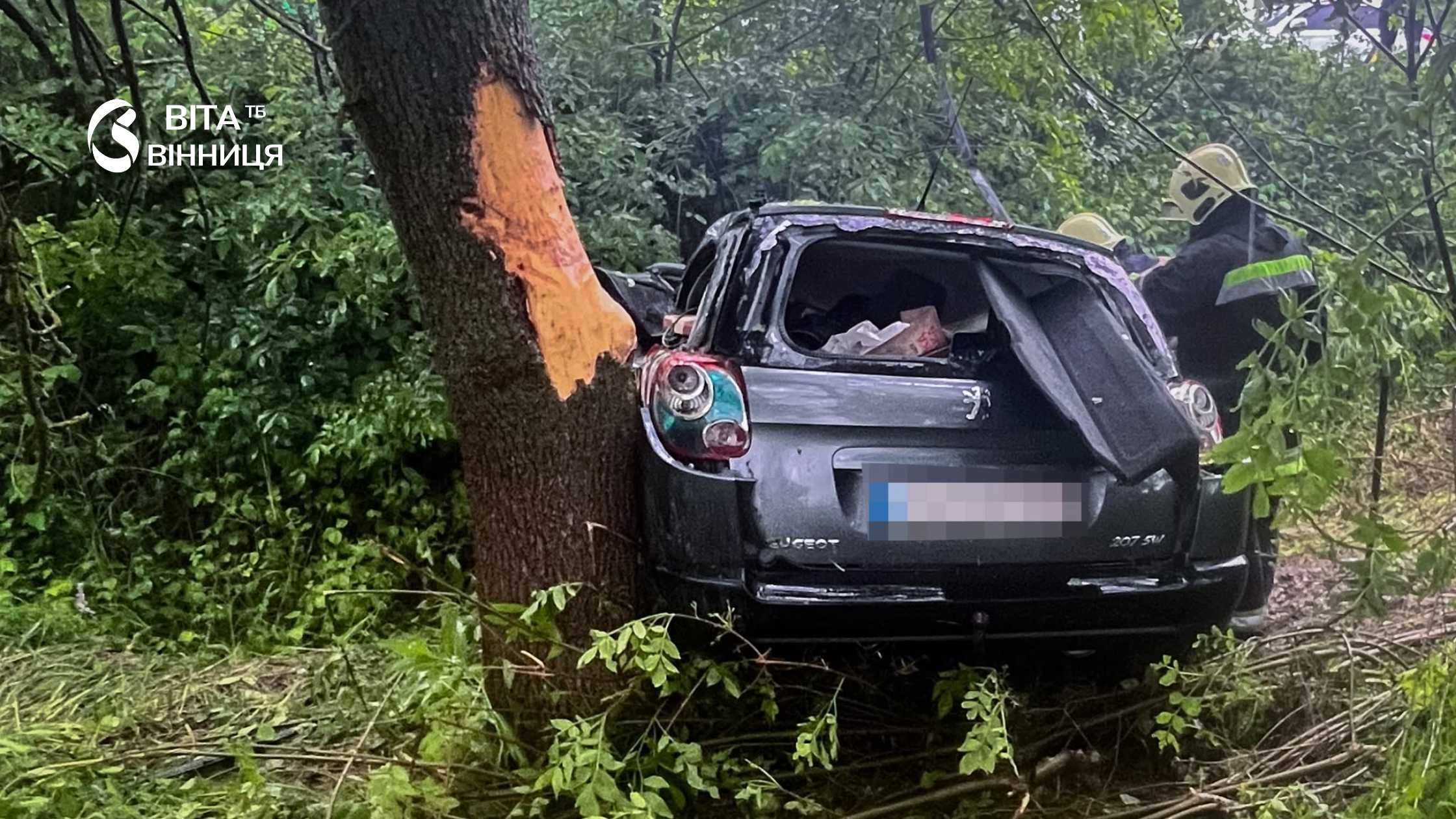 Смертельна ДТП у Тиврівській громаді загинули 22-річний водій та його бабуся
