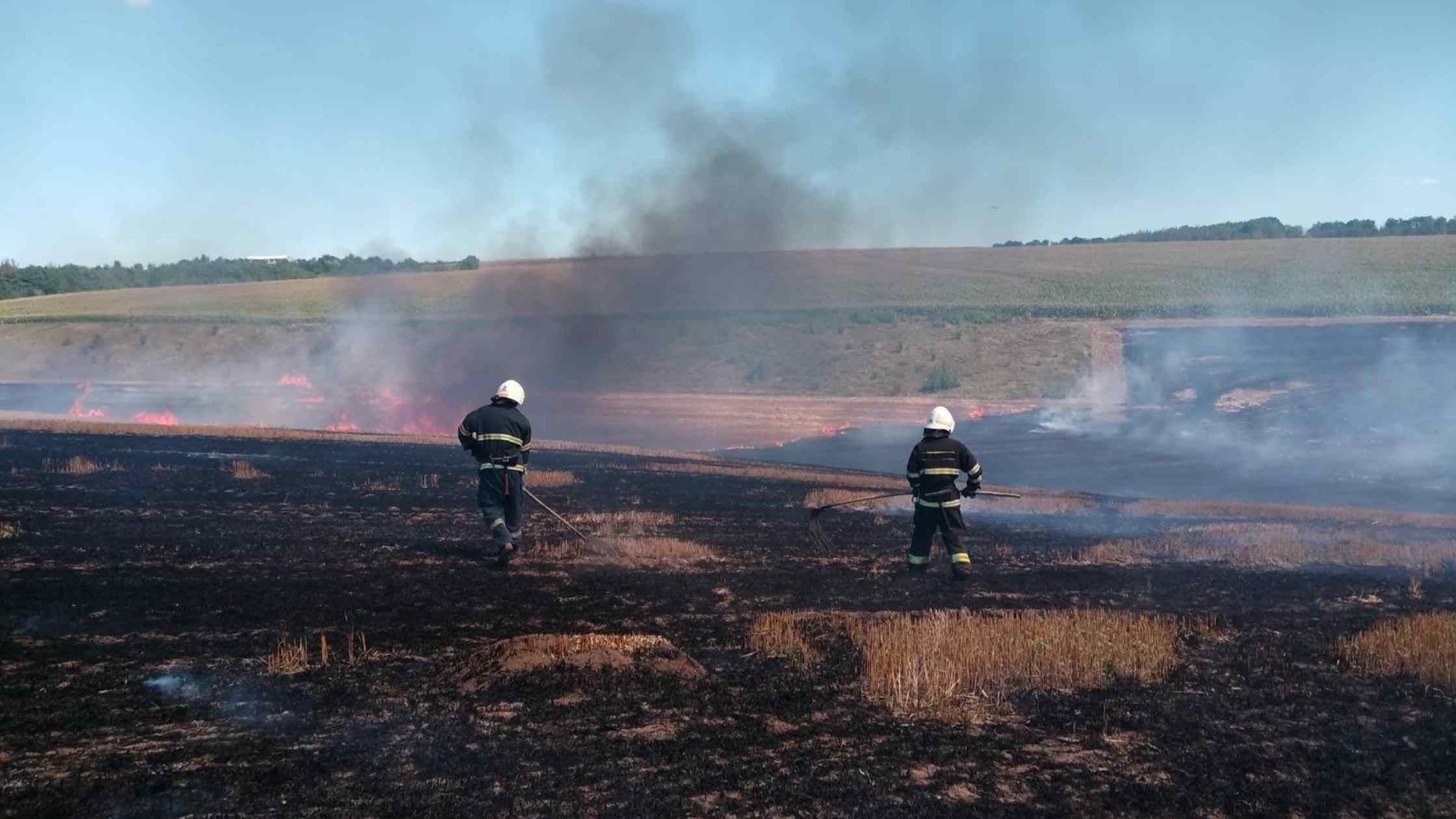 Суха рослинність і пожнивні залишки горіли у Вінниччині на площі в шість гектарів