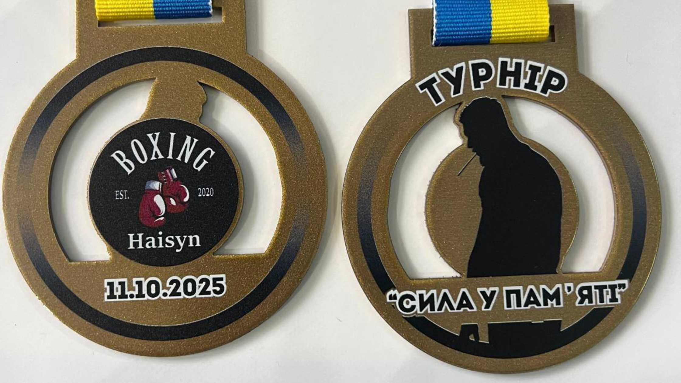 У Гайсині провели відкритий турнір з боксу на честь полеглих воїнів
