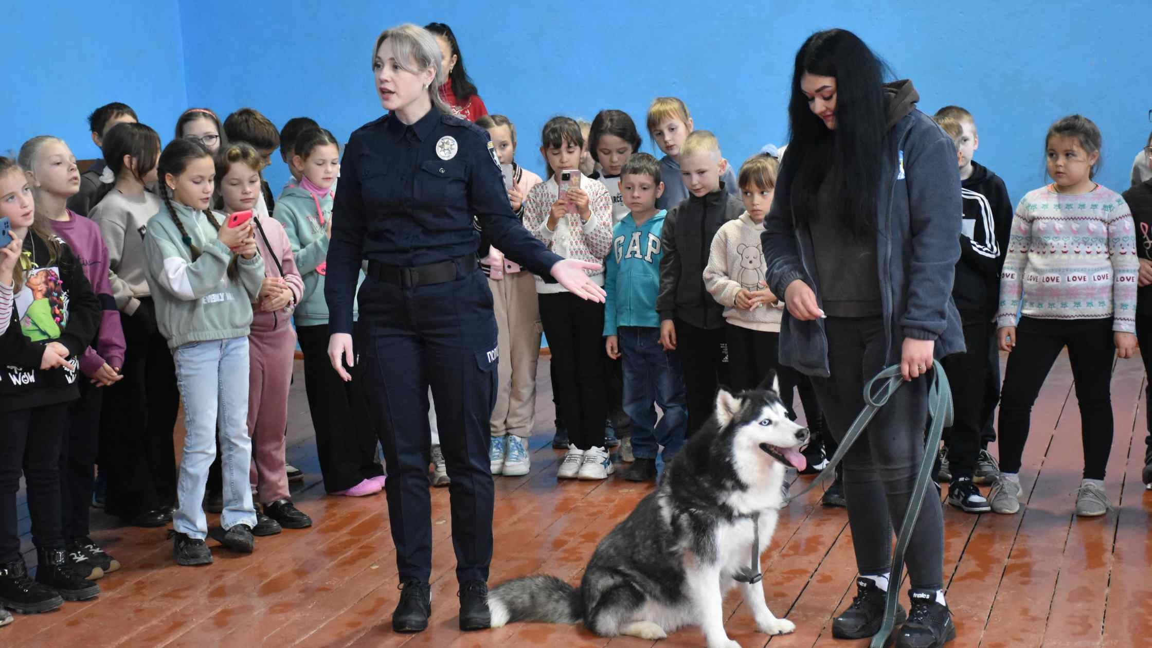 У Писарівці та Вінницьких Хуторах влаштували благодійний захід до Міжнародного дня захисту тварин
