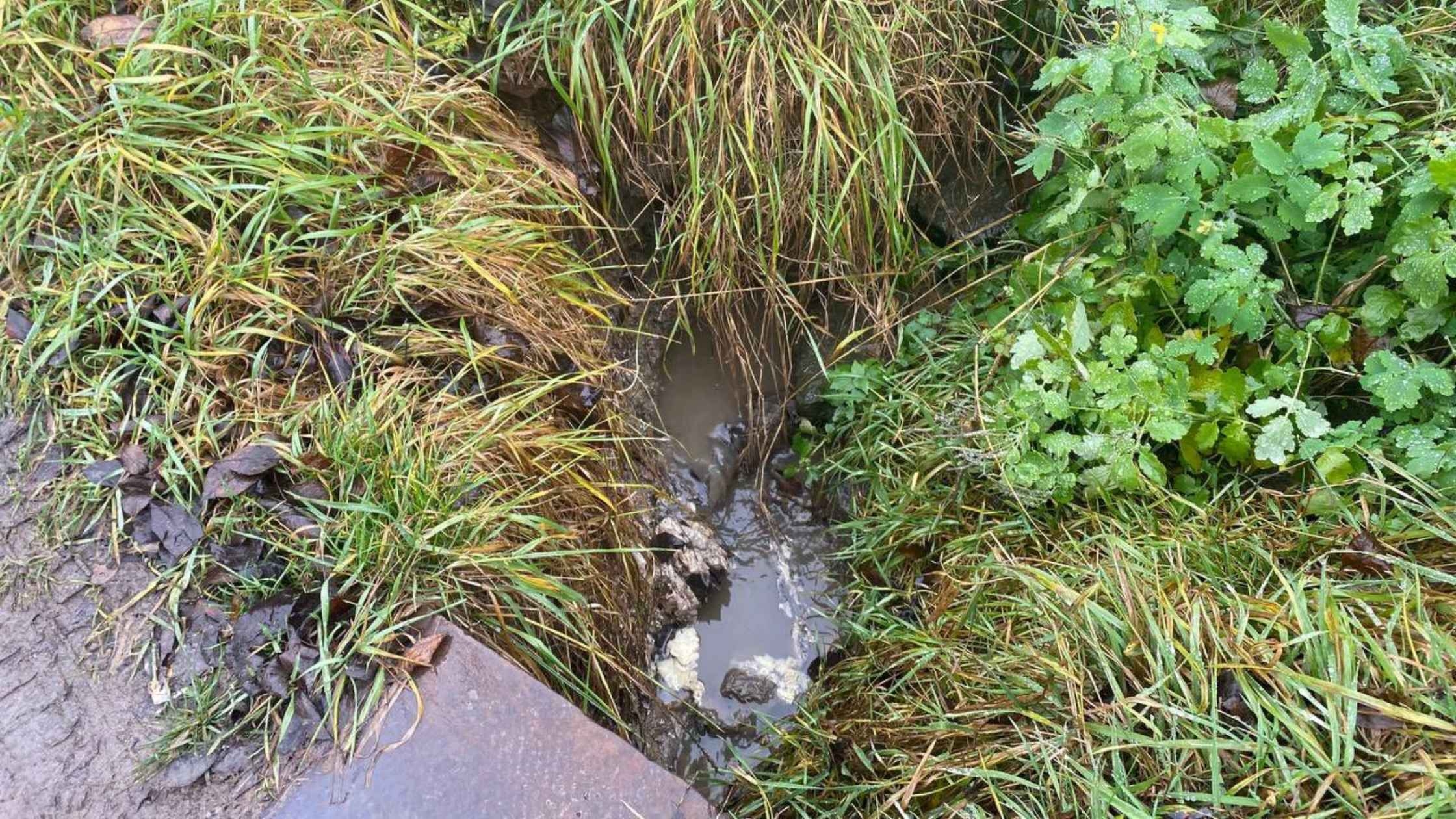 У Вінниці мешканець скидав рідкі відходи у міський струмок