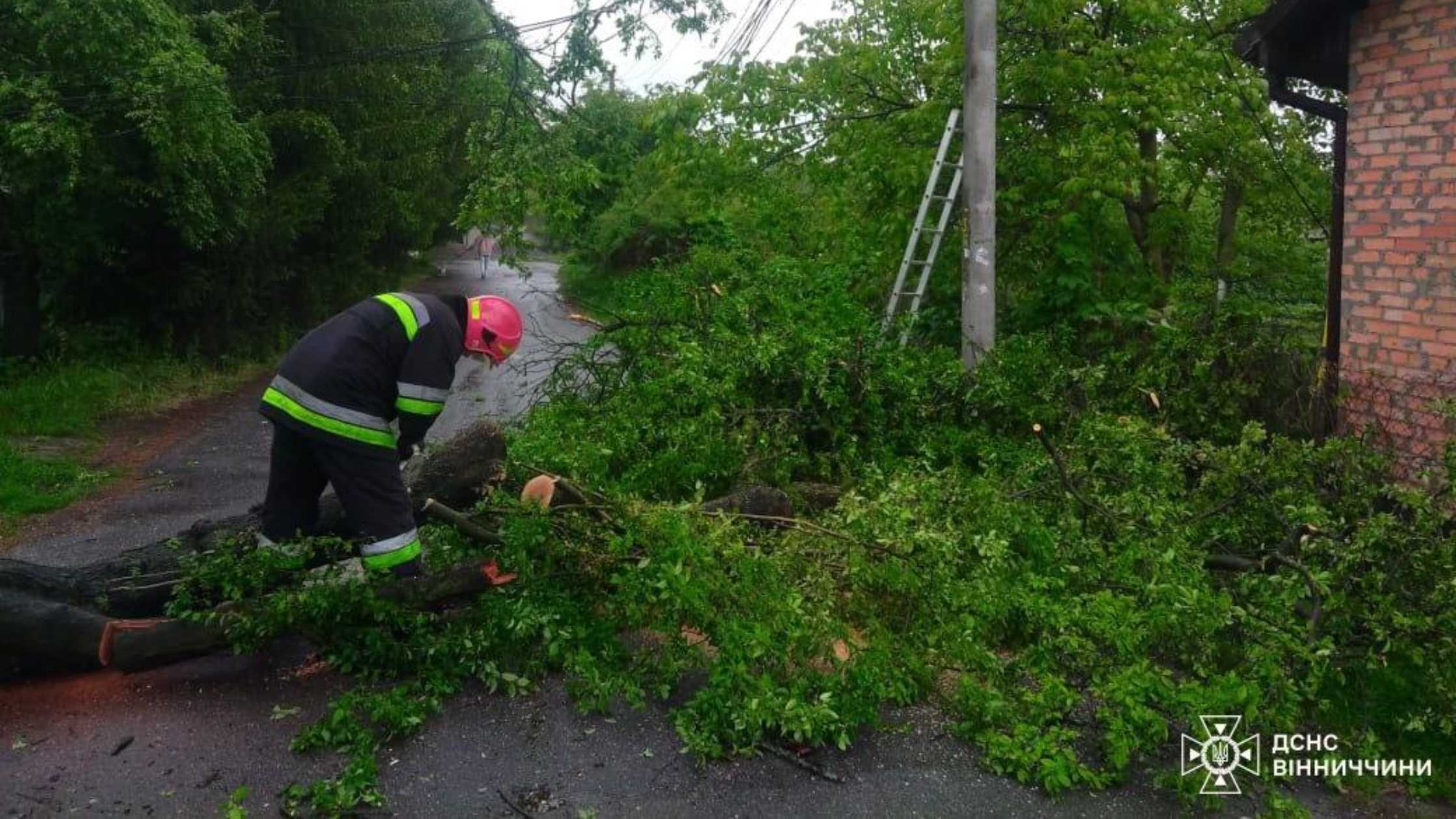 У Вінниці негода повалила дерева на двоповерхівку та проїжджу частину