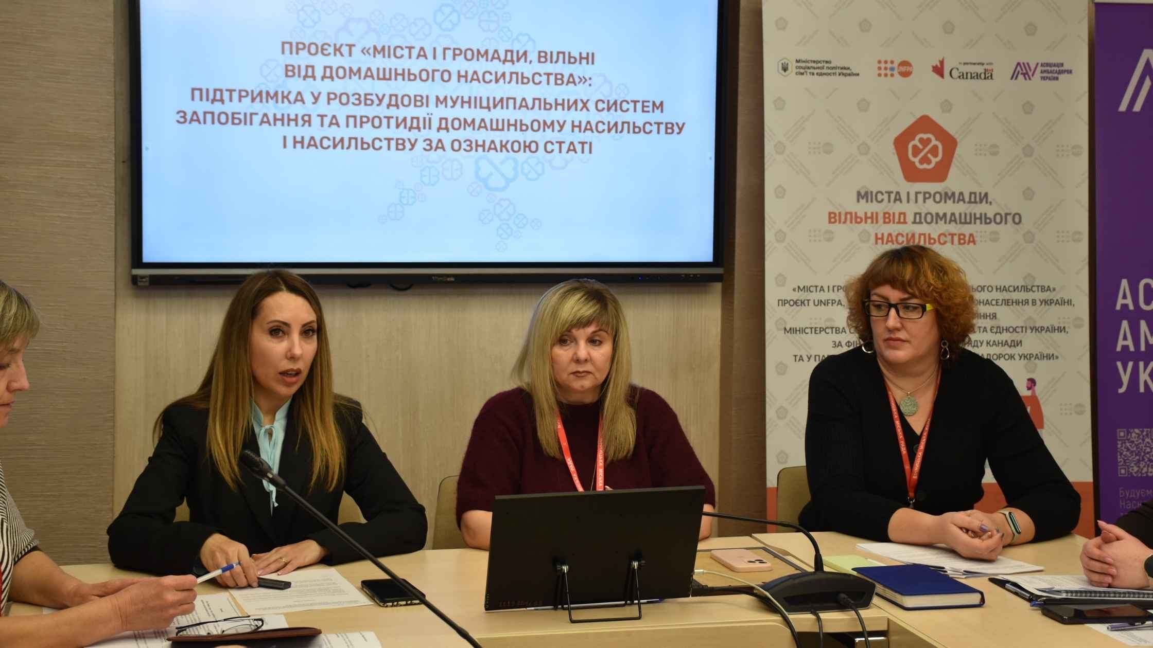 У Вінниці озвучили підсумки проєкту «Міста і громади, вільні від домашнього насильства»