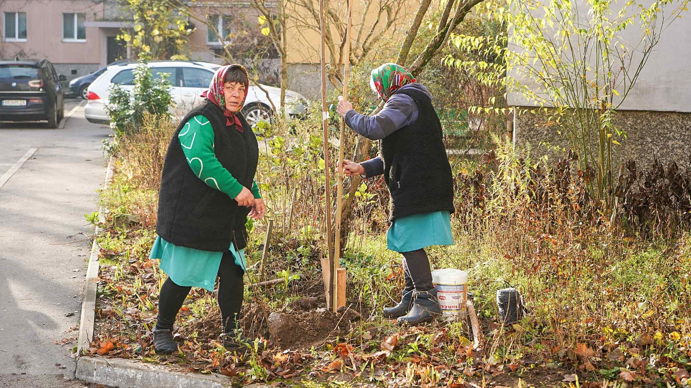 У Вінниці висадять пів тисячі дерев в рамках осінньої кампанії з озеленення