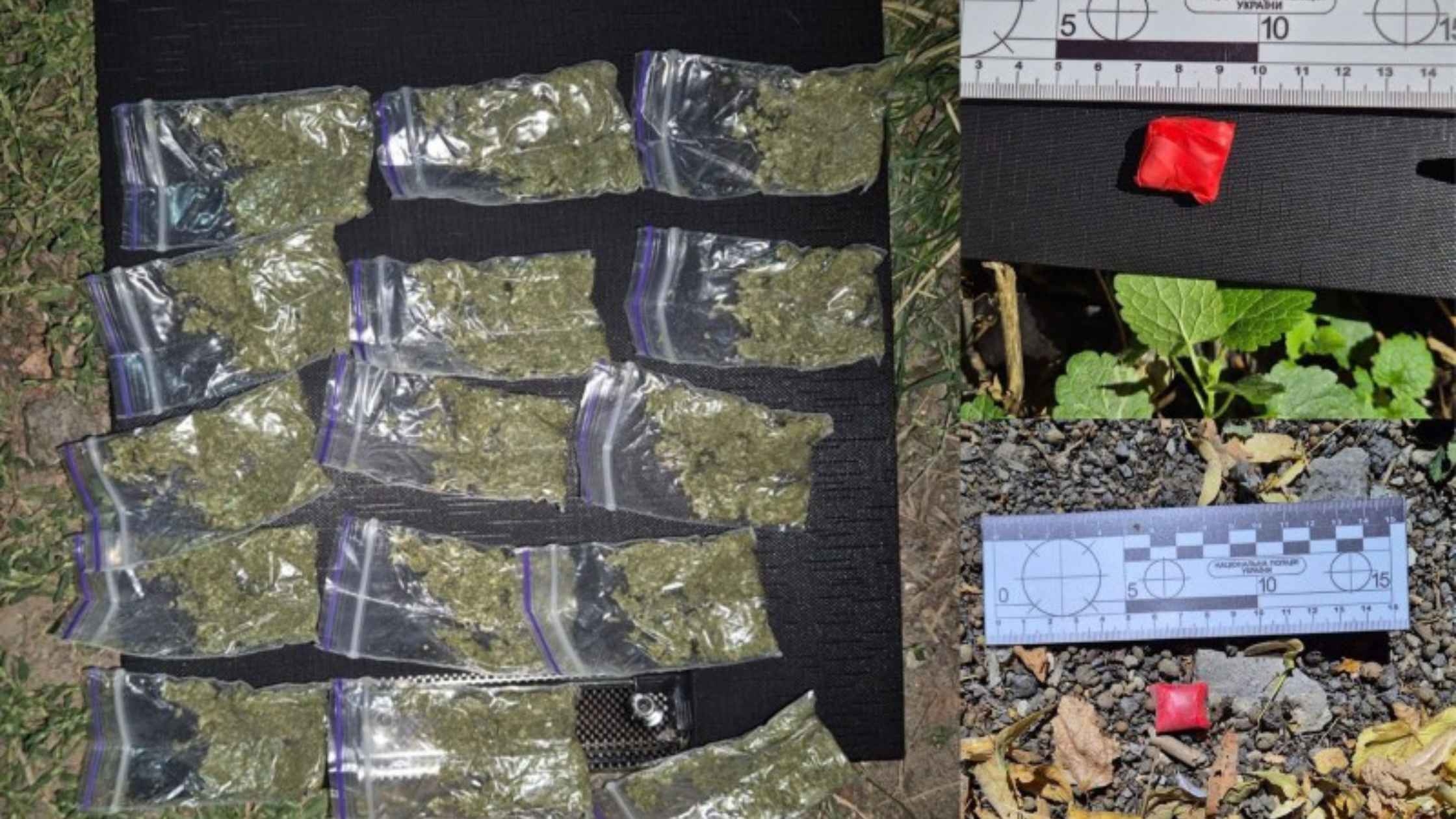 У Вінниці затримали 20-річного наркозакладника - збував Альфа-PVP та канабіс