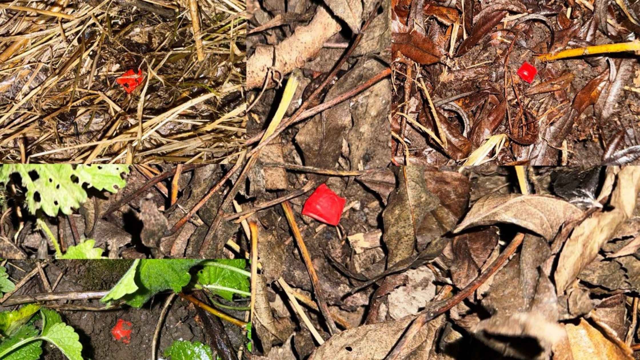 У Вінниці затримали 24-річного закладчика психотропів з Миколаєва