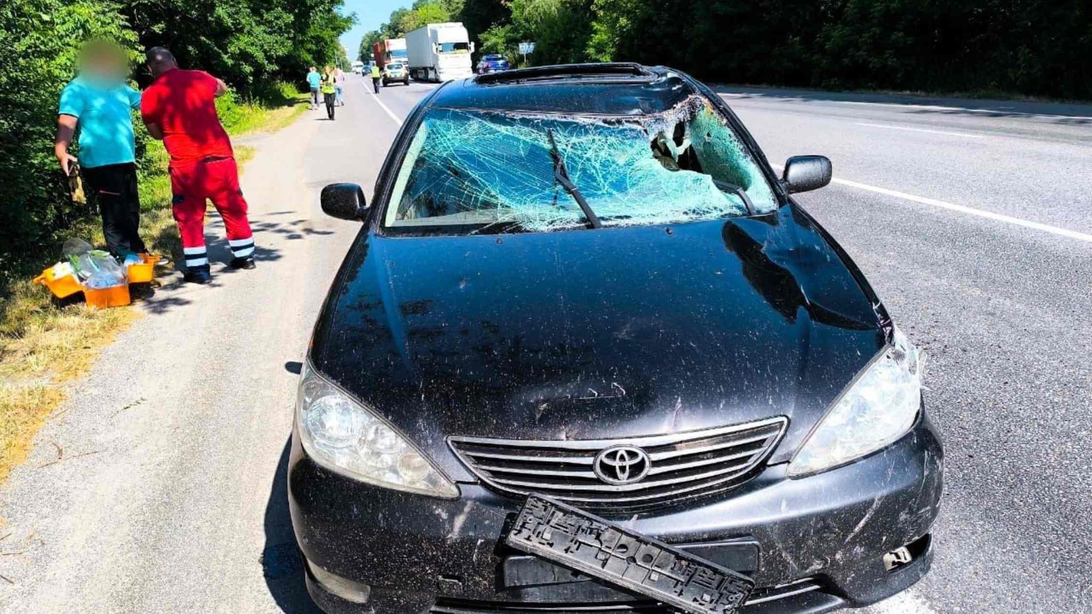 У Вінницькому районі 65-річний велосипедист загинув під колесами авто