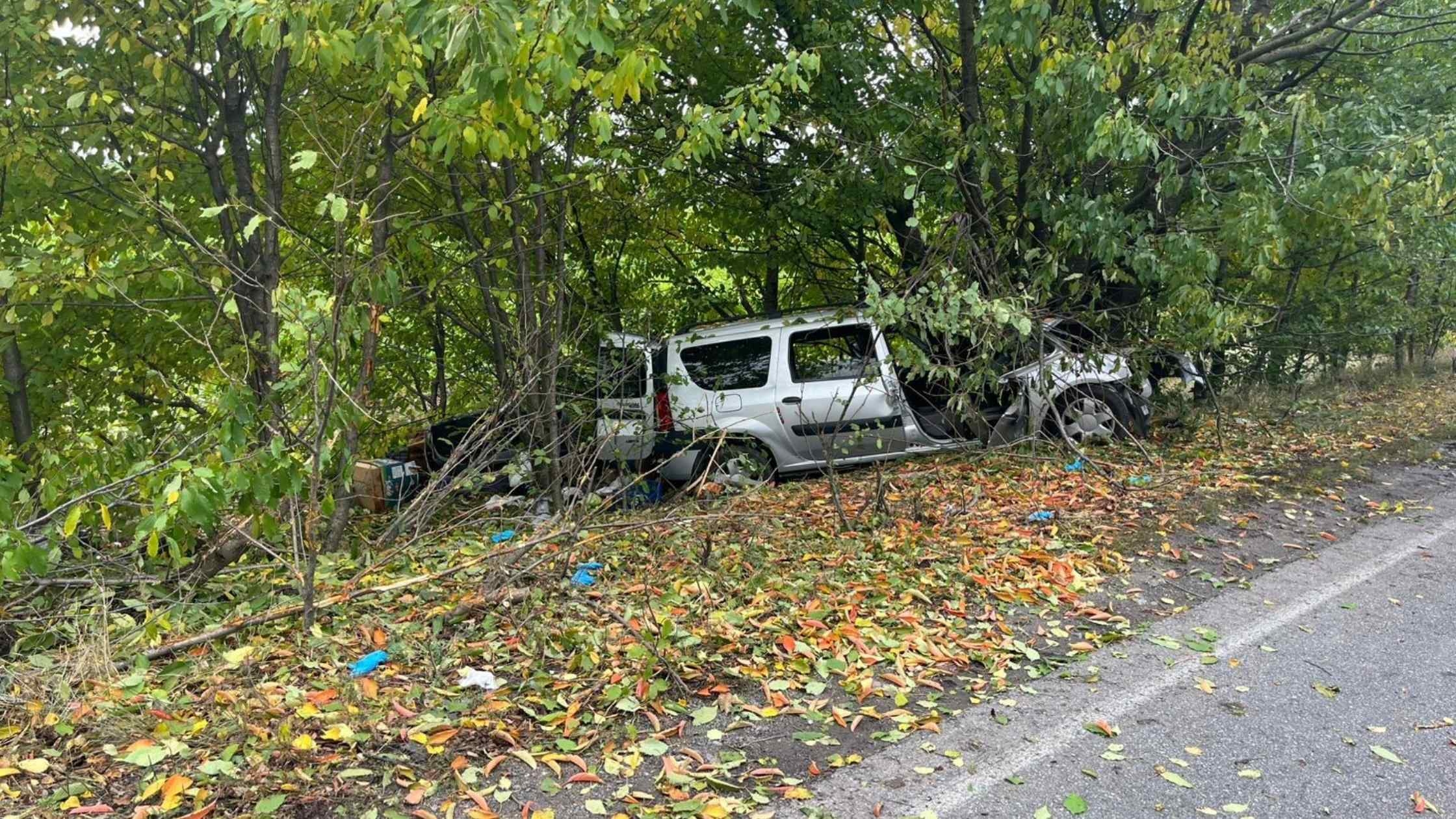 У Вінницькому районі в аварії травмувались пасажири авто - мати та 9-річна дитина