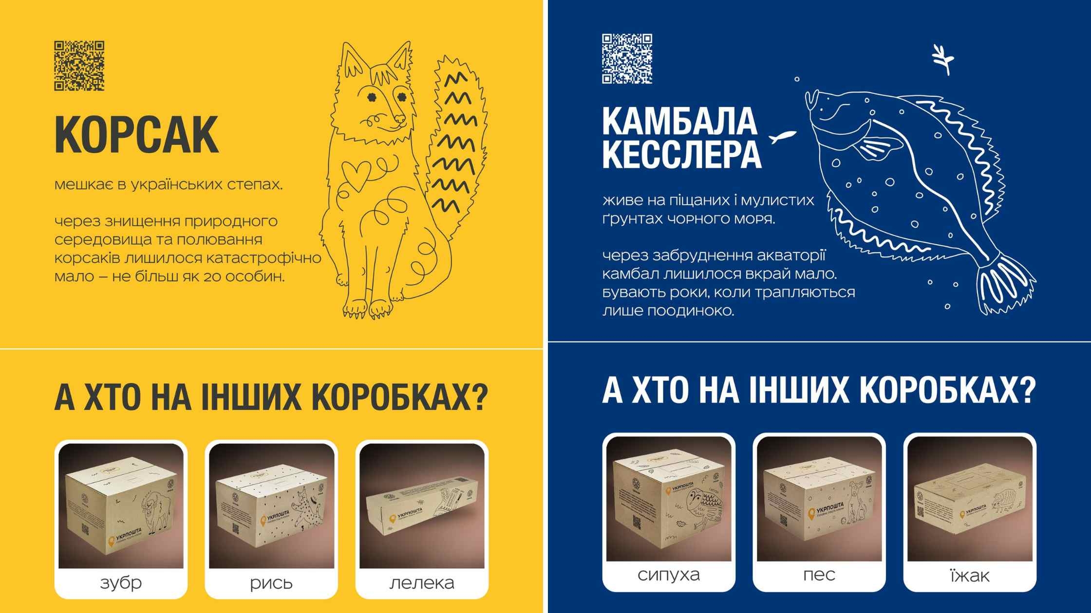 Укрпошта та UAnimals запускають спільний проєкт на підтримку тварин