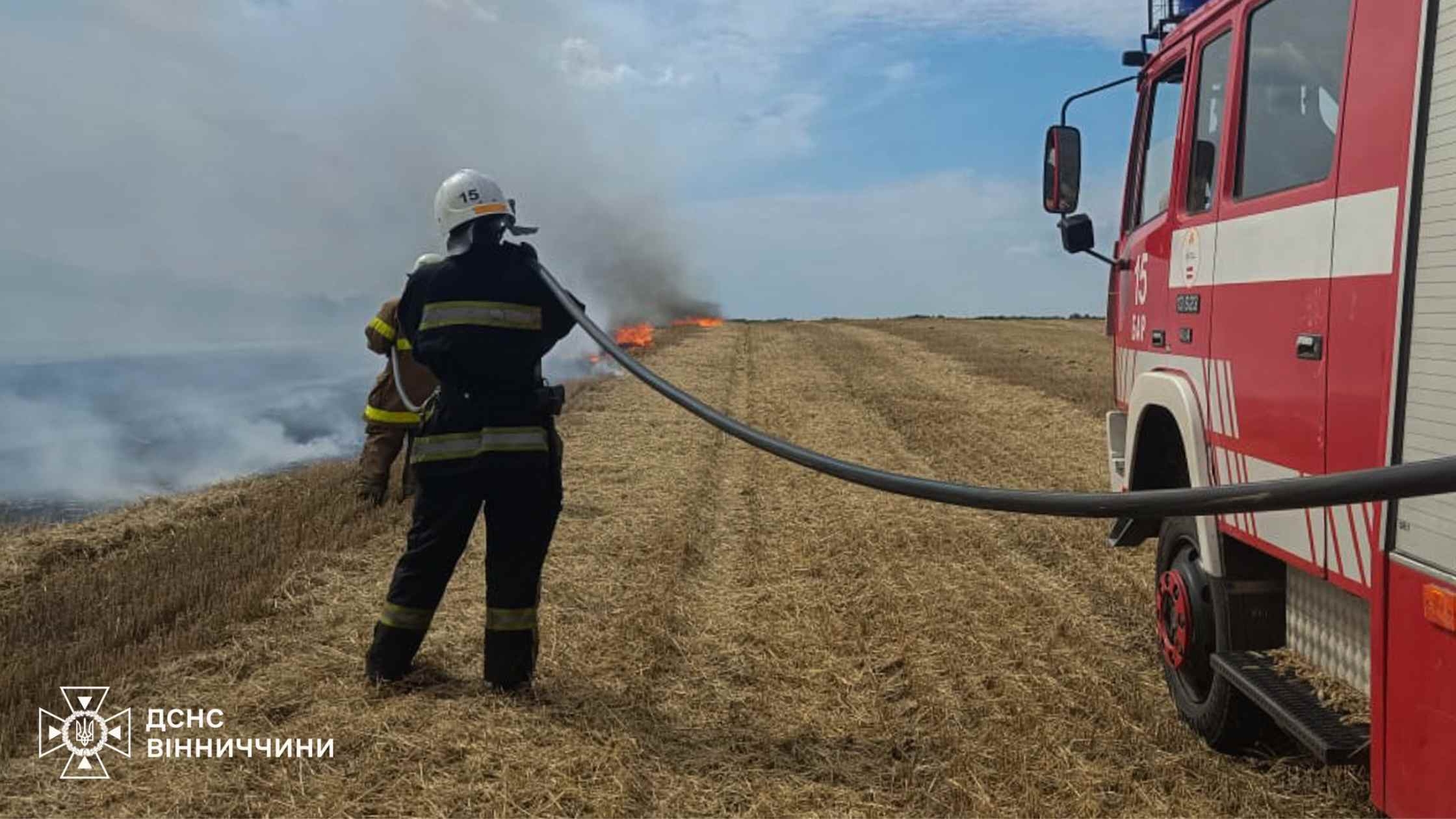 В екосистемах Вінниччини ліквідували п'ять пожеж за добу