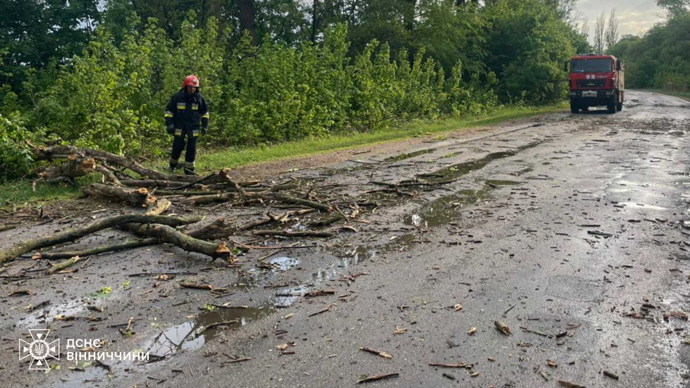 В Липовецькій та Погребищенській громадах ліквідували наслідки негоди