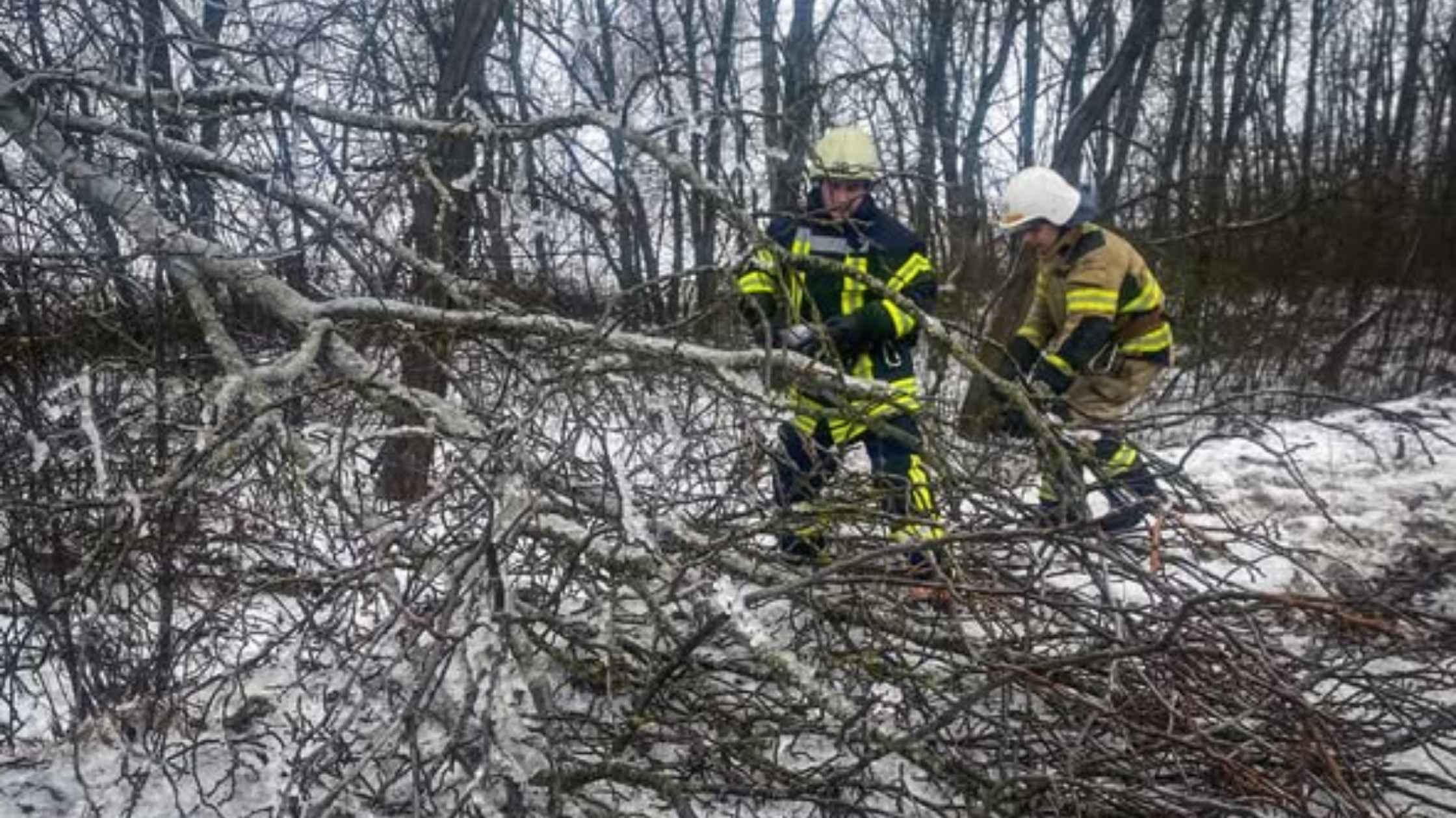 Вінницькі рятувальники двічі виїжджали розчищати дороги від повалених дерев