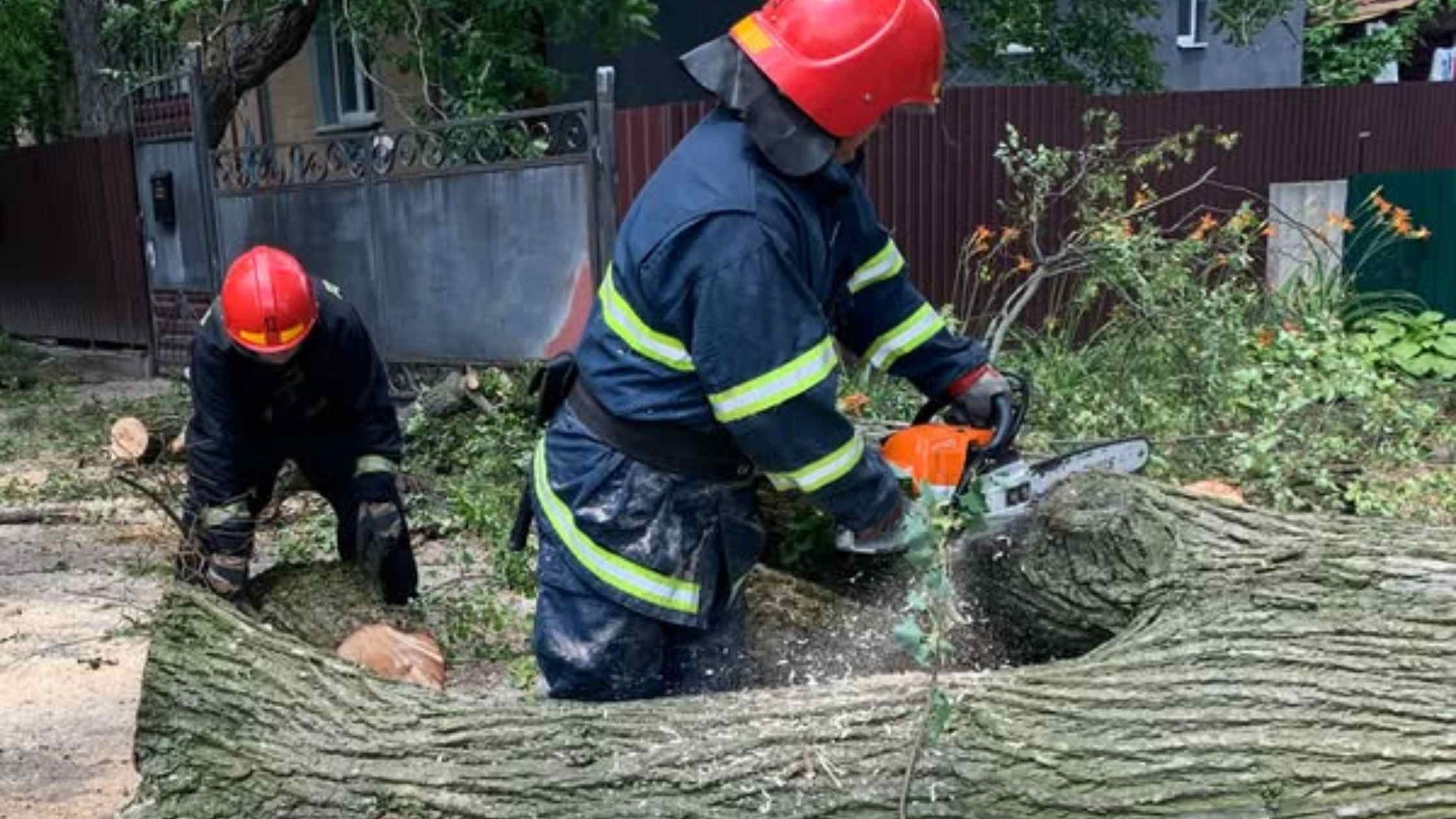 Вінницькі рятувальники шість разів виїжджали розкряжовувати повалені вітром дерева