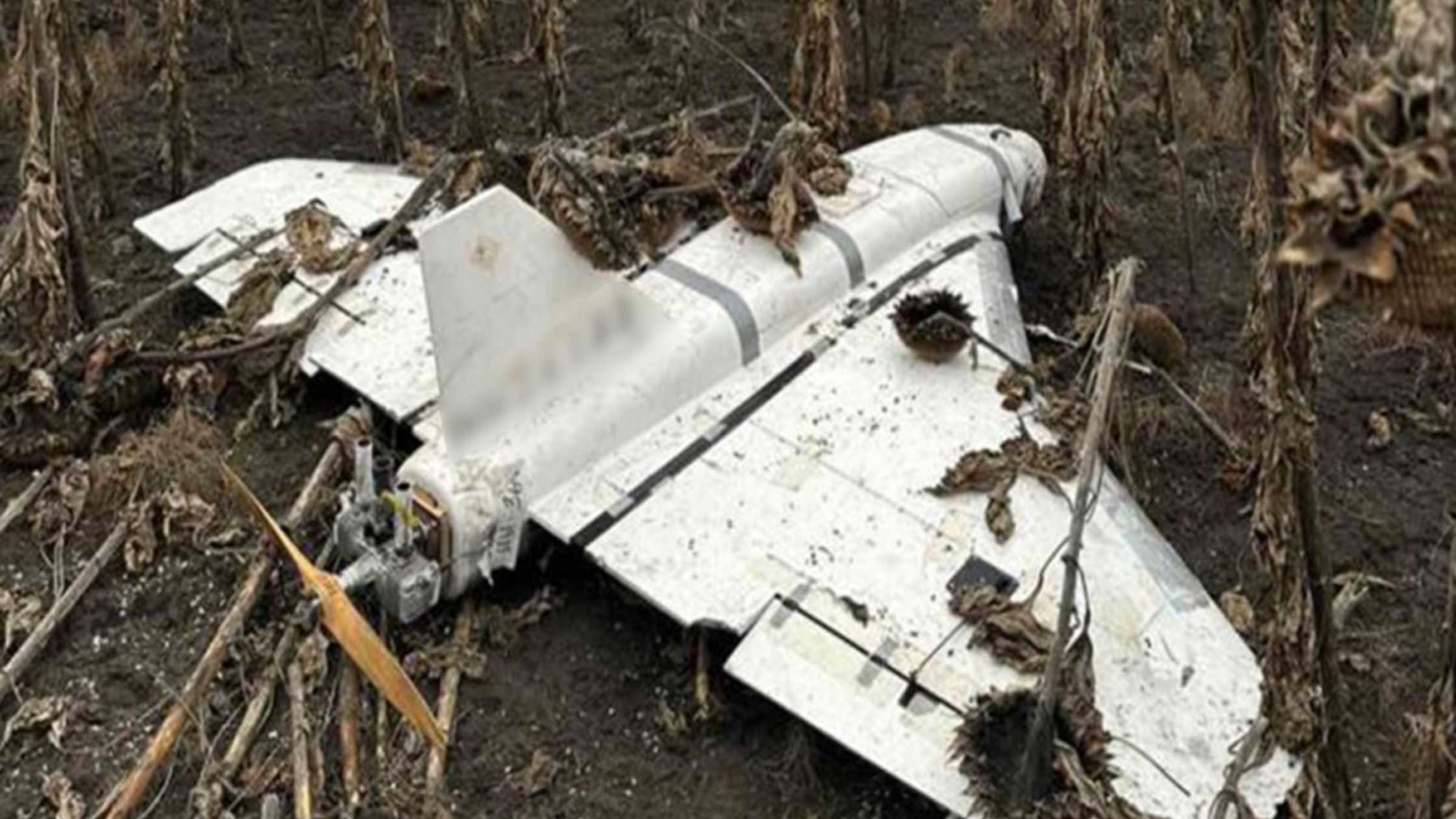 Вибухотехніки знешкодили бойові частини ворожих БПЛА та ракети Х-101 на Вінниччині