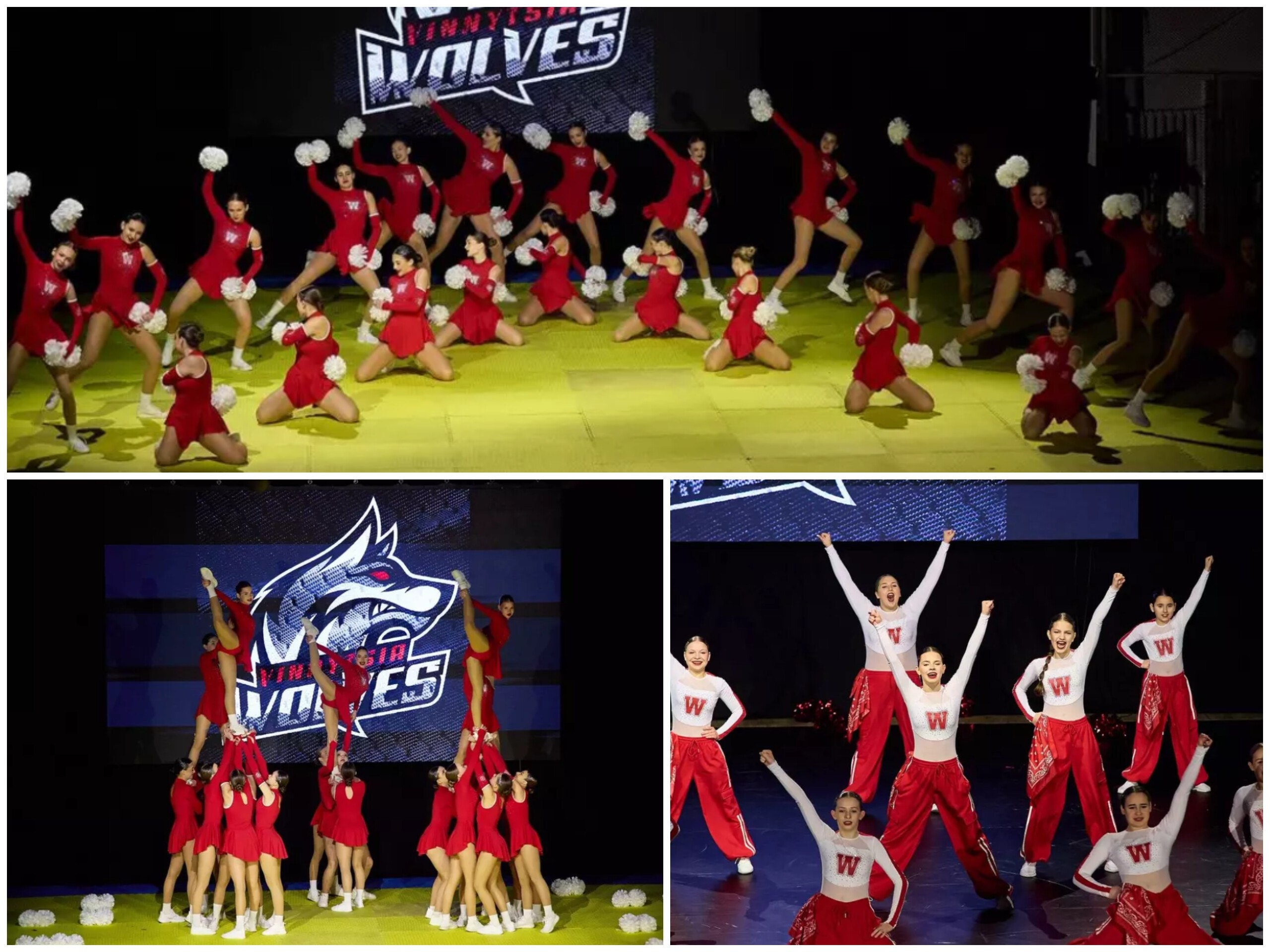 “Вінницькі вовчиці” привезли “золото” з відкритого чемпіонату в Хмельницькому 