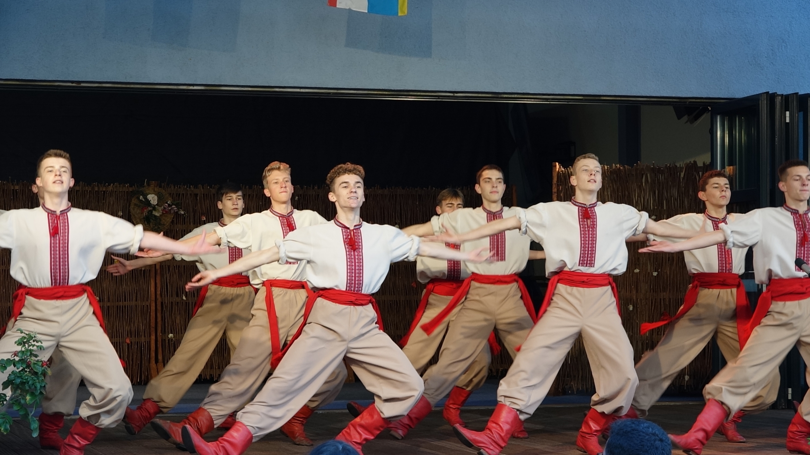 Вінницький ансамбль танцю «Радість» дав сім концертів у Німеччині 