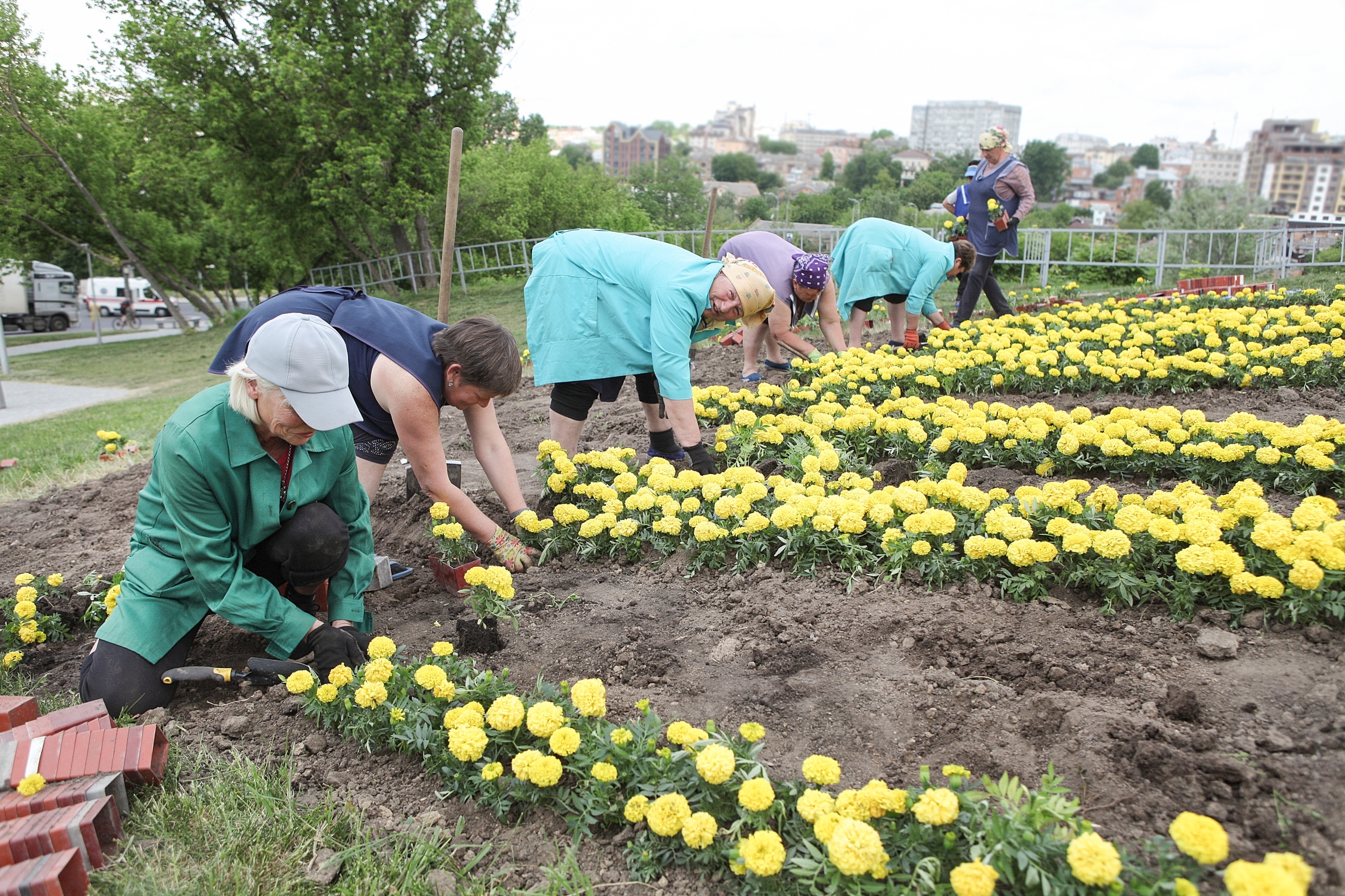У Вінниці на Замковій горі знову висадили Герб України з квітів