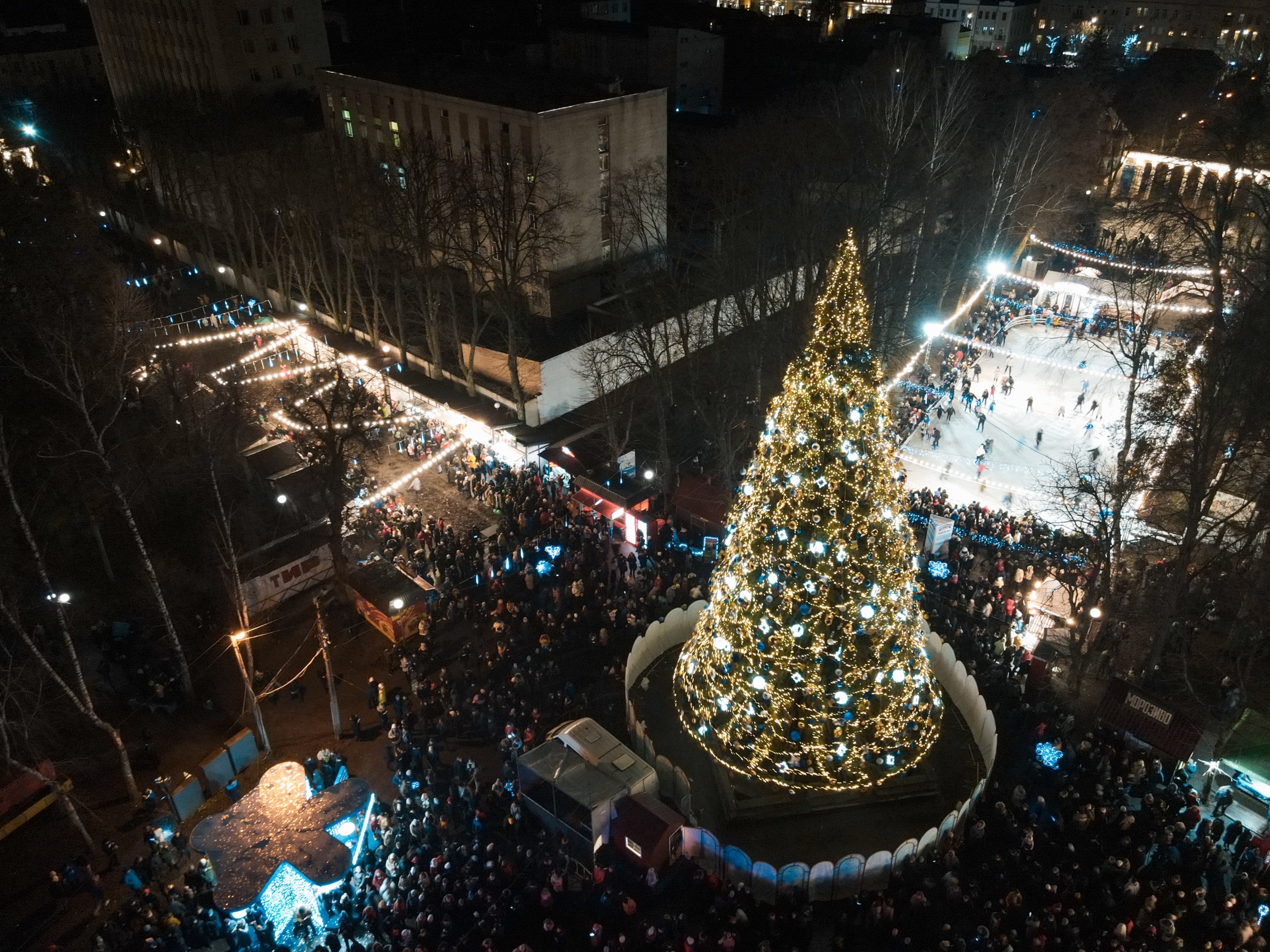 Головну ялинку міста відкрили у Центральному парку у Вінниці