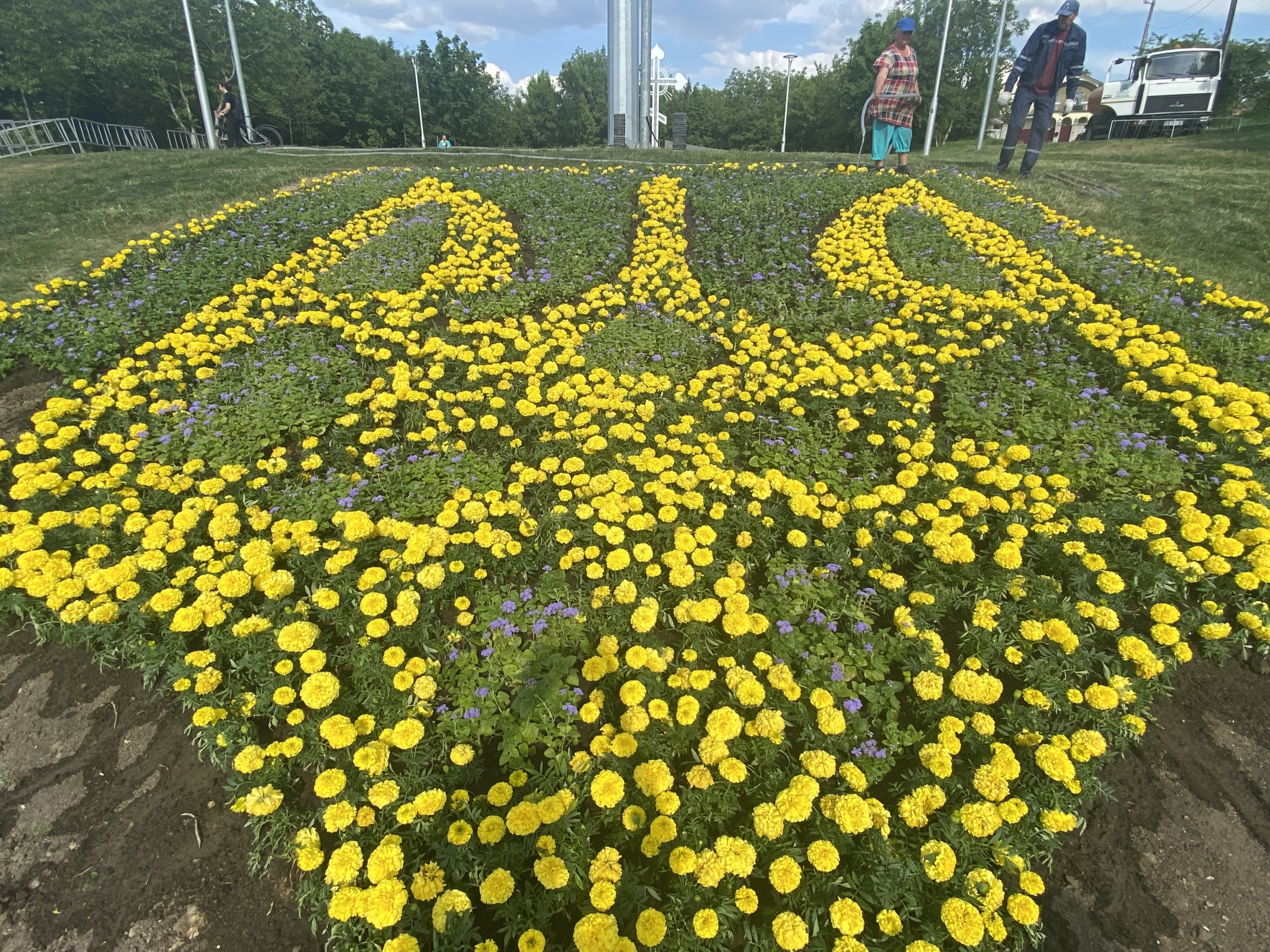 У Вінниці на Замковій горі знову висадили Герб України з квітів