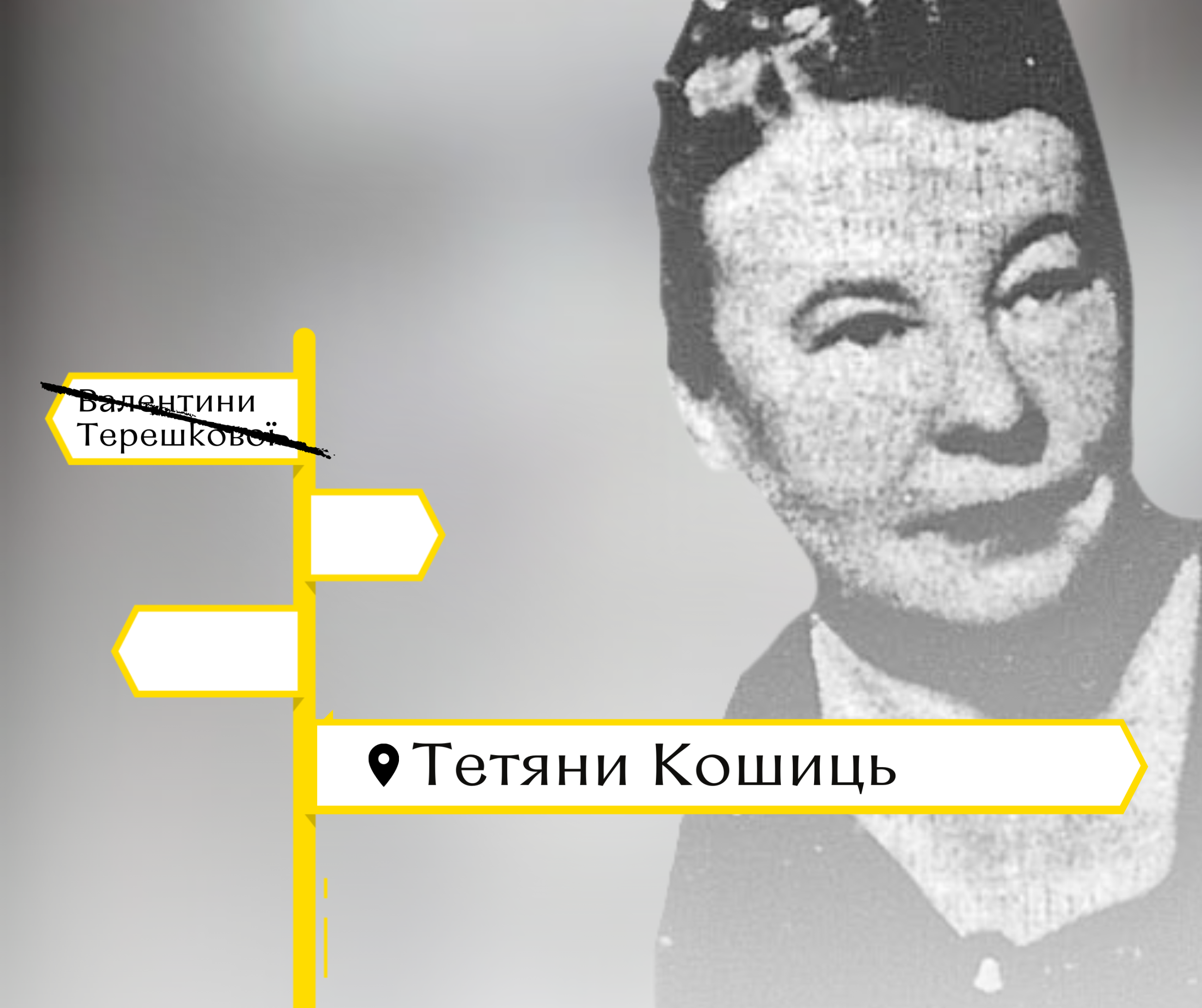 Одну з вулиць Вінниці назвали на честь вінничанки Тетяни Кошиць
