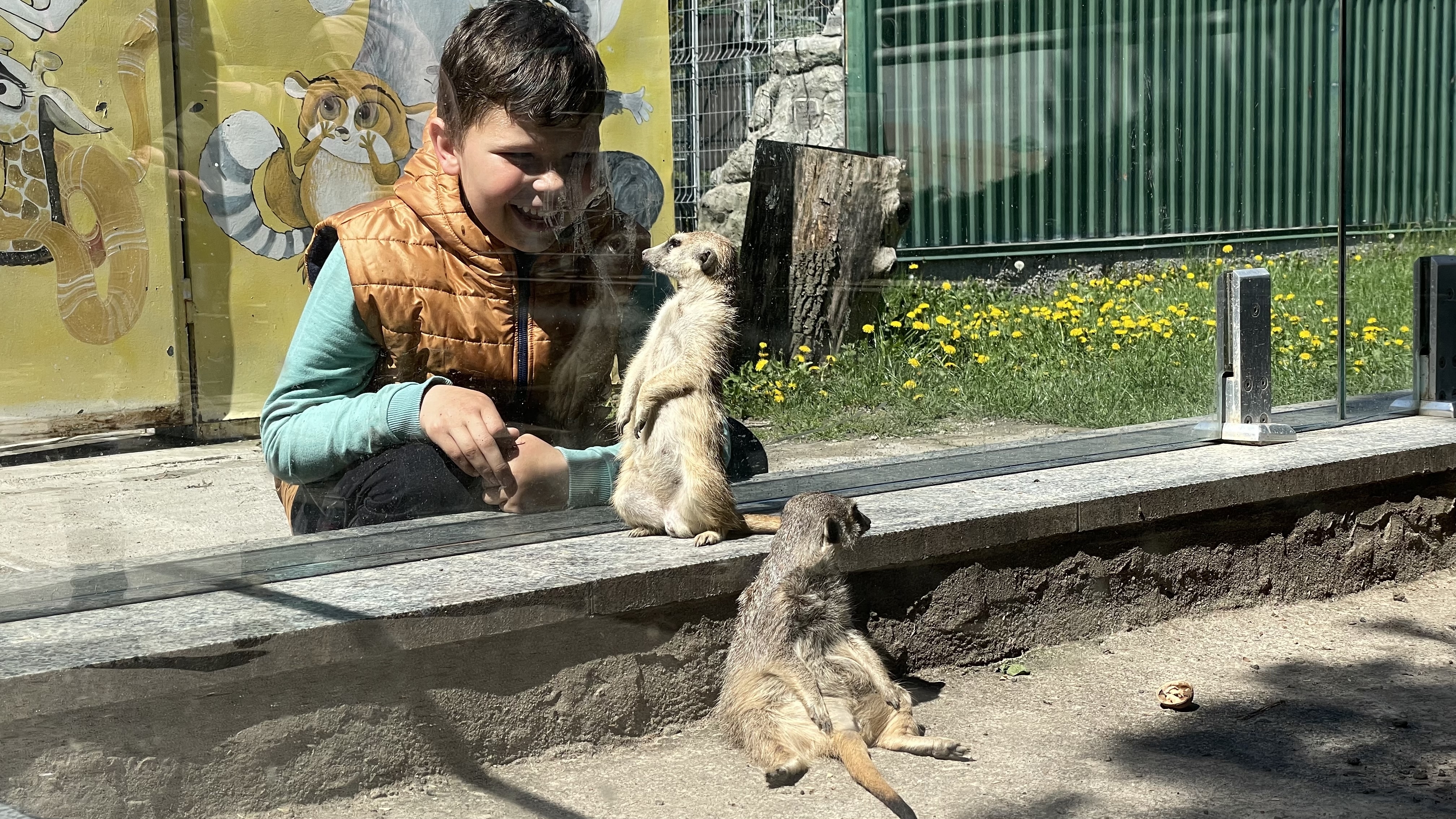 Грайливі мавпочки та поважні хижаки: фоторепортаж з вінницького зоопарку