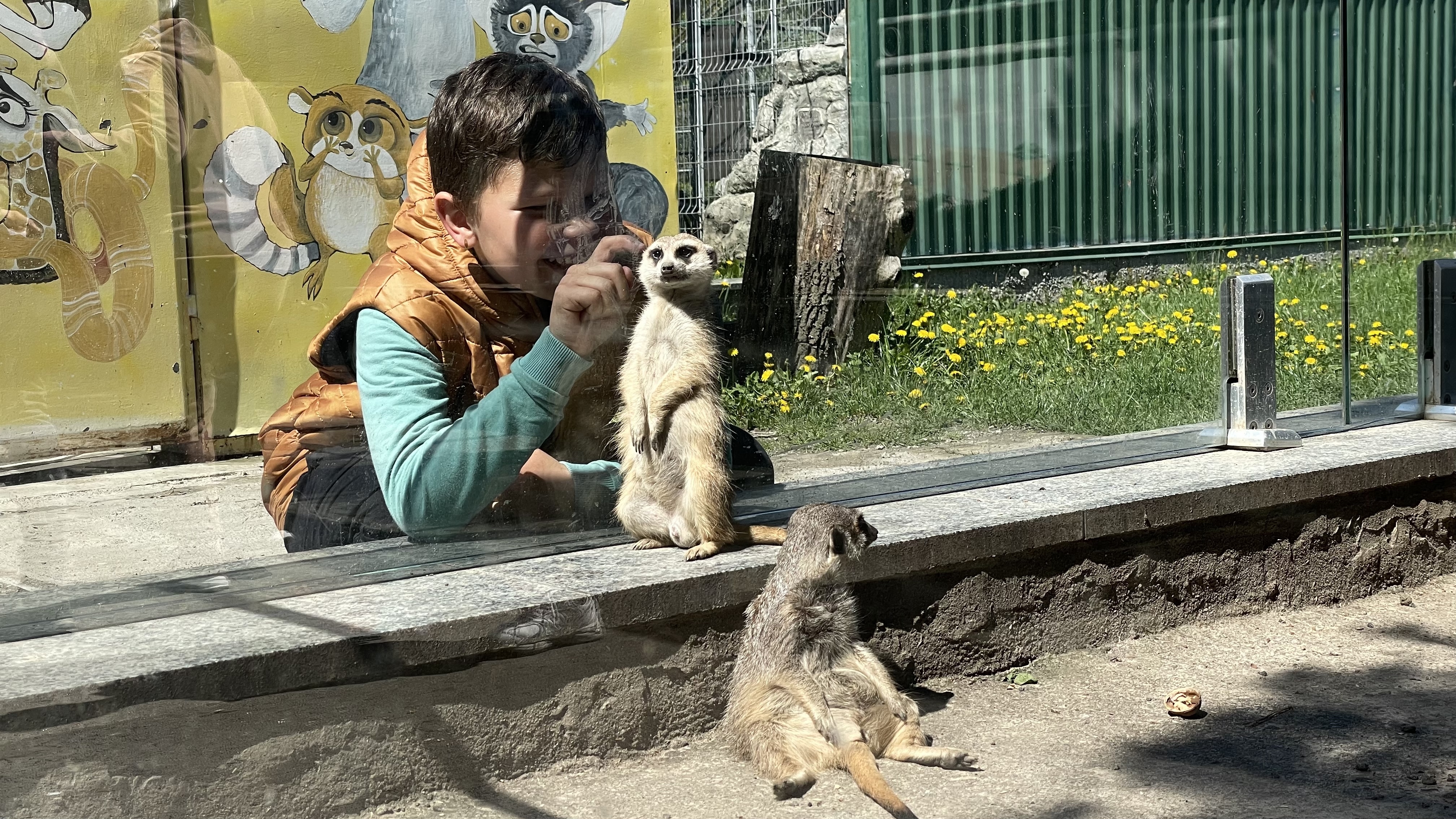 Грайливі мавпочки та поважні хижаки: фоторепортаж з вінницького зоопарку